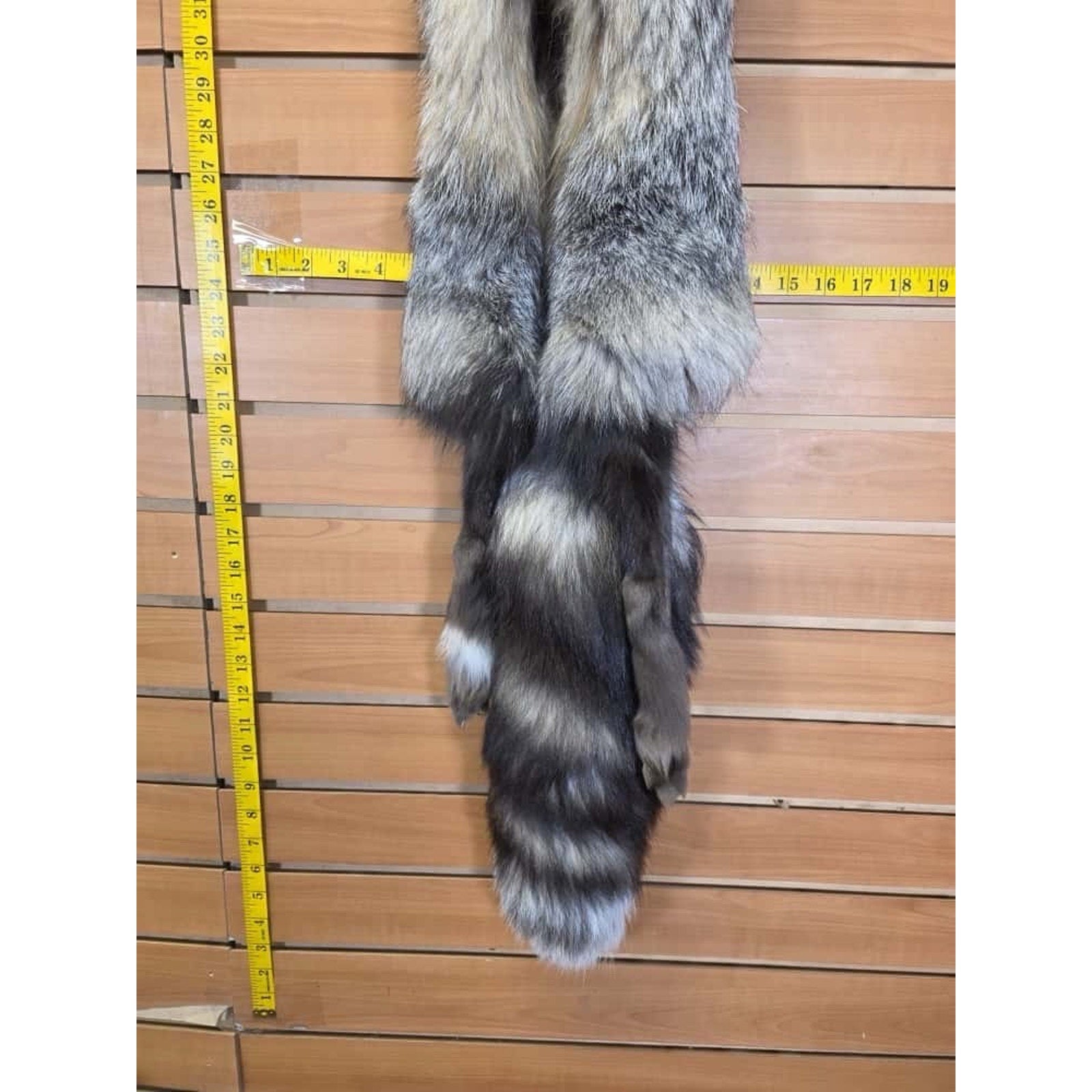 FHCM15 - Gorgeous Ranch Fox Soft Tanned Furs Taxidermy