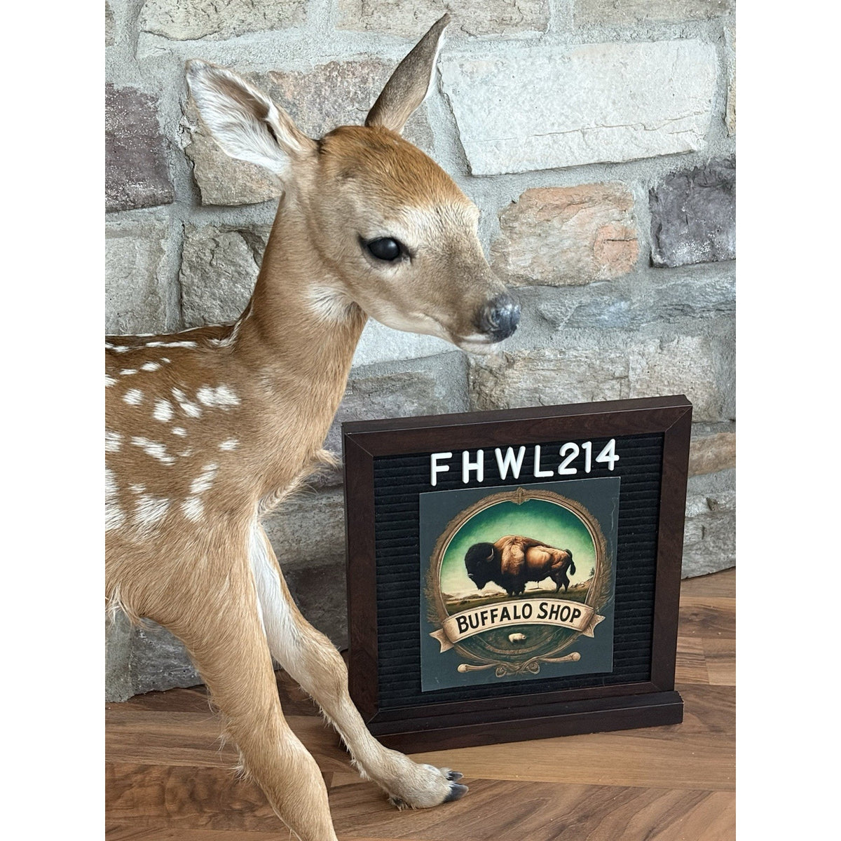 FHWL214 - Fawn Lifesize Taxidermy Mount Free Standing