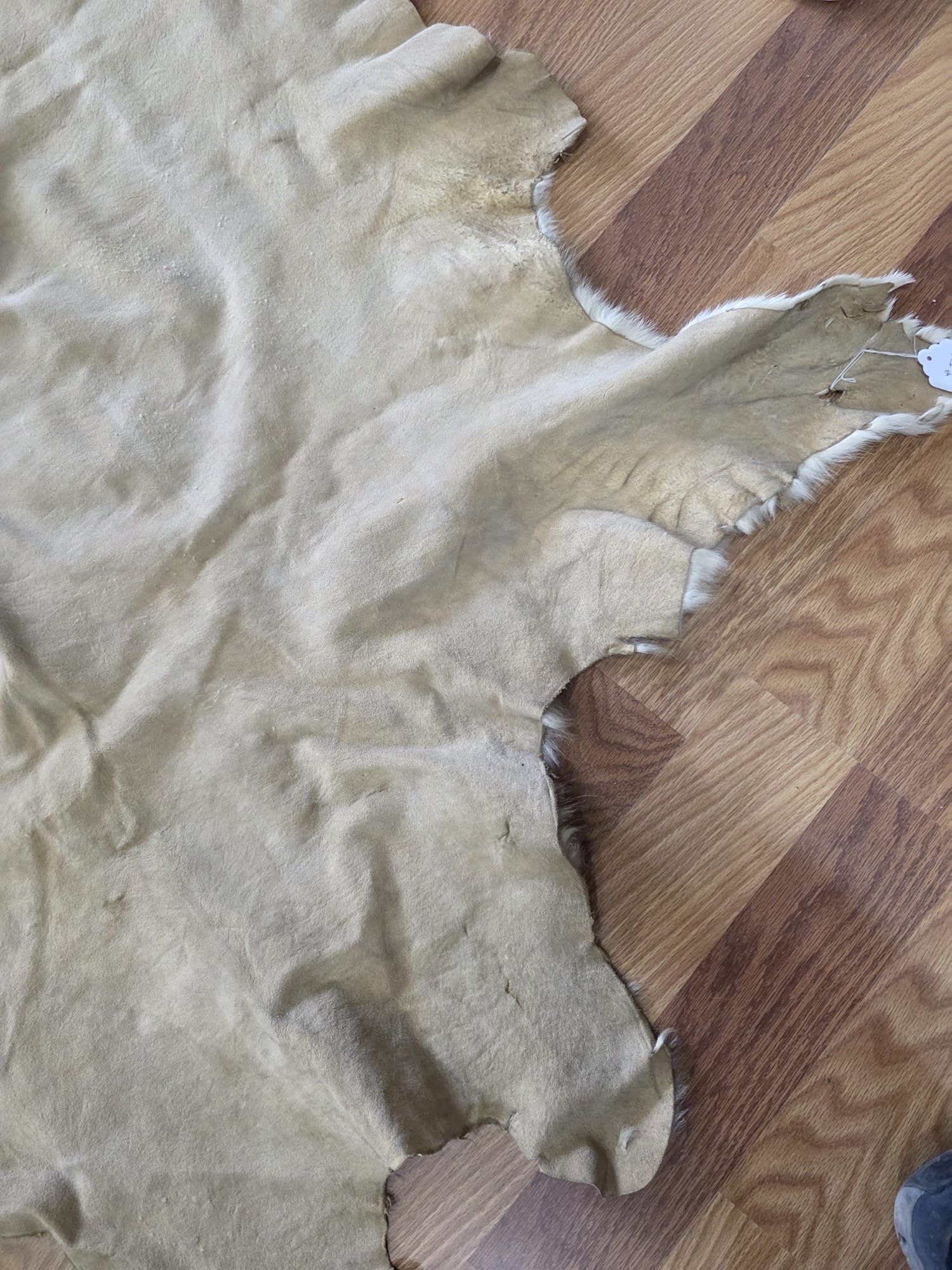 FH7829- Premium white Nordic reindeer pelt hide