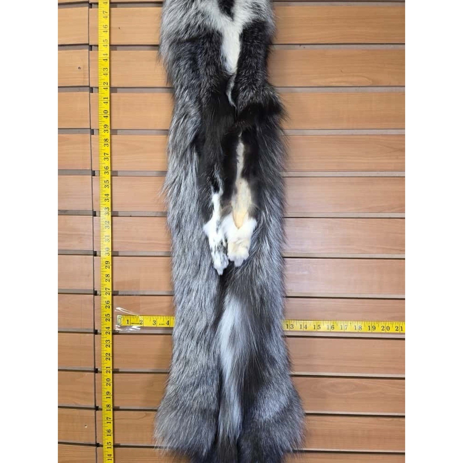 FHCM14 - Gorgeous Ranch Fox Soft Tanned Furs Taxidermy