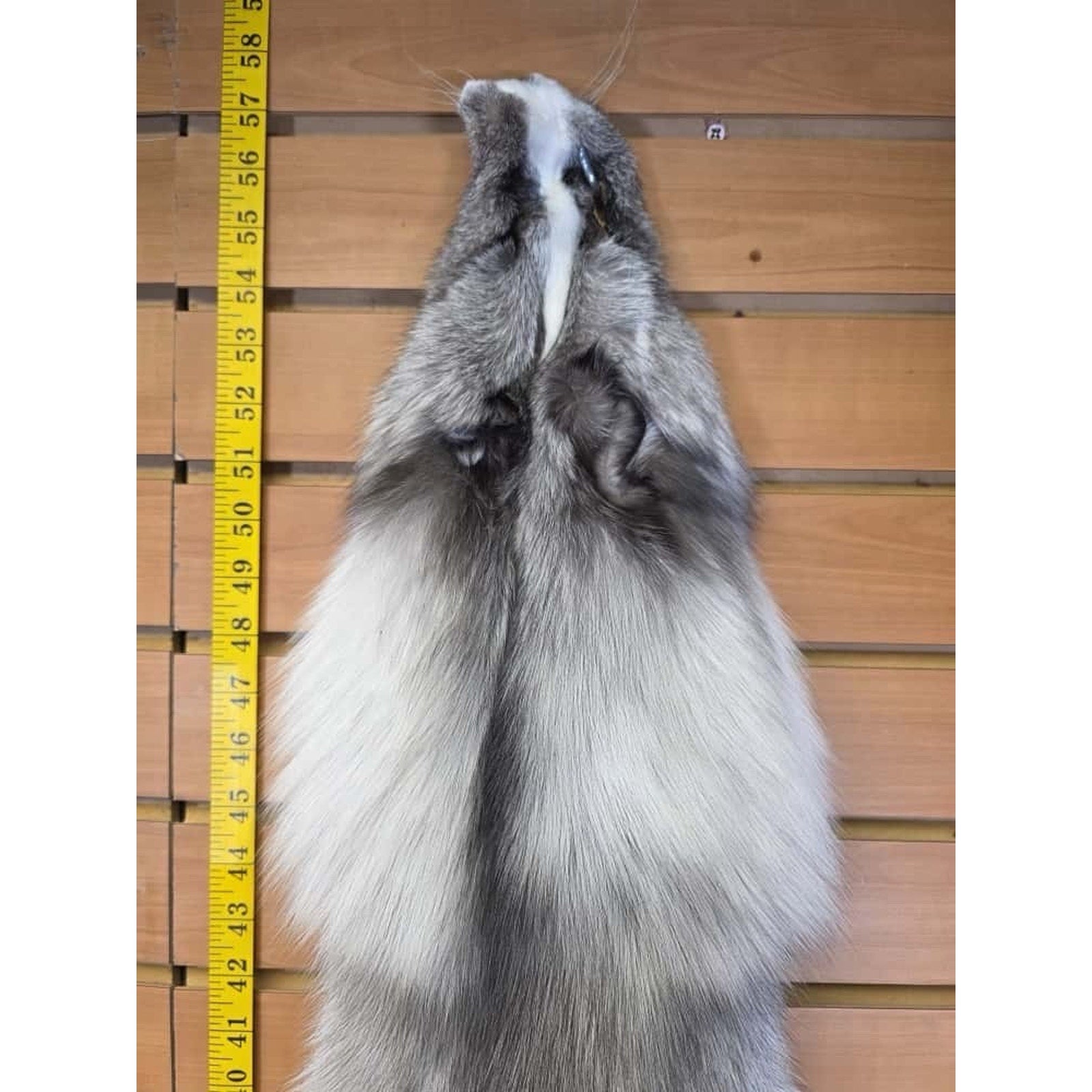 FHCM8 - Gorgeous Ranch Fox Soft Tanned Furs Taxidermy