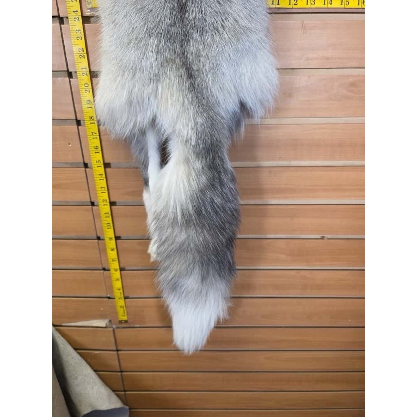 FHCM8 - Gorgeous Ranch Fox Soft Tanned Furs Taxidermy