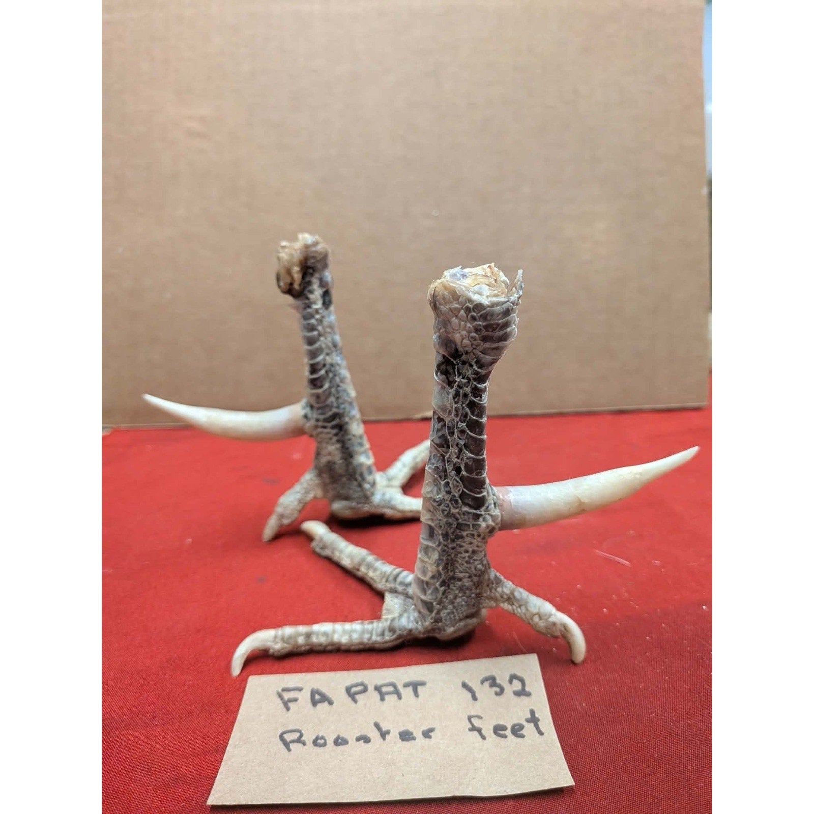 FHPAT132 - Set Rooster Feet with spurs