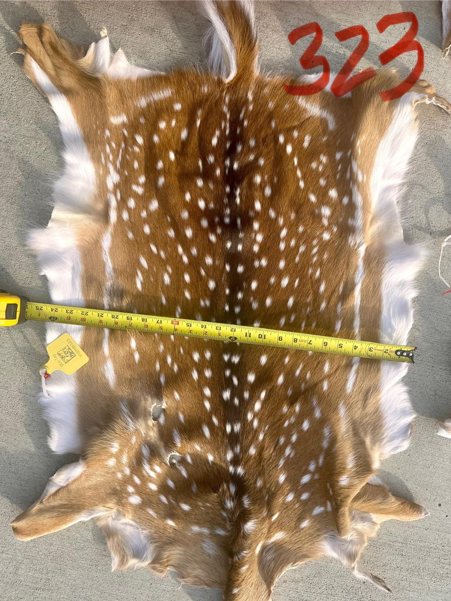 FHWA400 - Professionally tanned XL axis deer hide