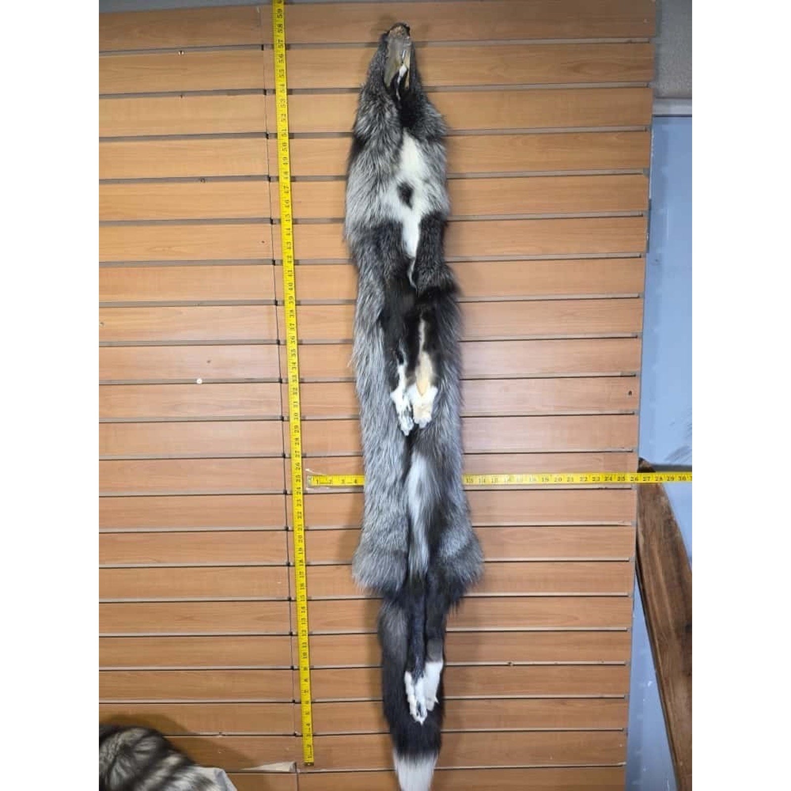 FHCM14 - Gorgeous Ranch Fox Soft Tanned Furs Taxidermy