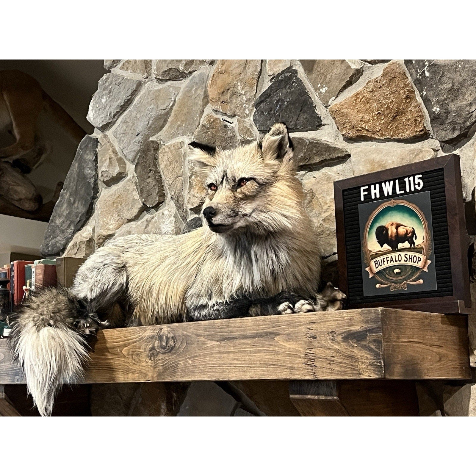 FHWL115- Premium Fox Taxidermy Full Body Mount