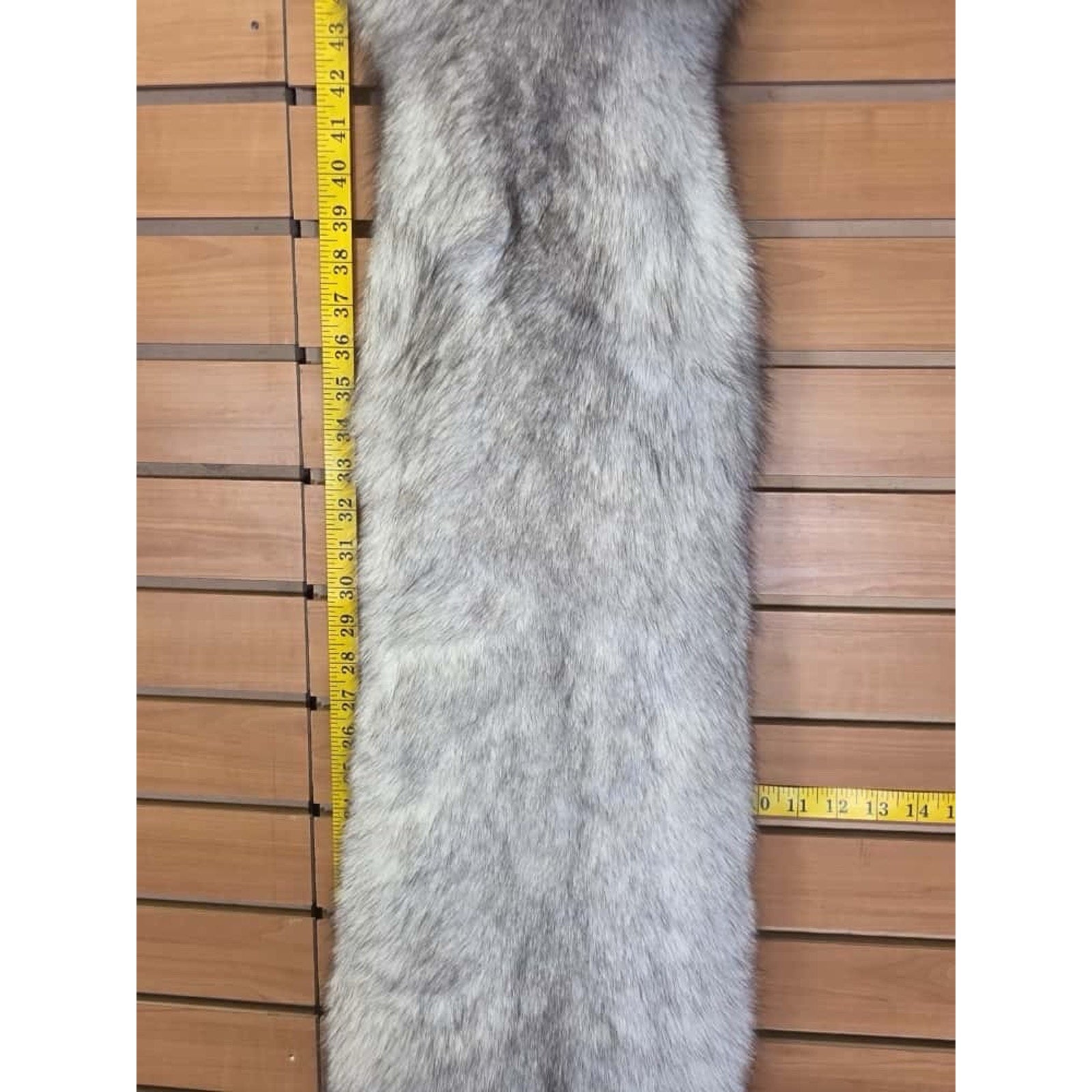 FHCM6- Blue Ranch Fox Soft Tanned Furs Taxidermy