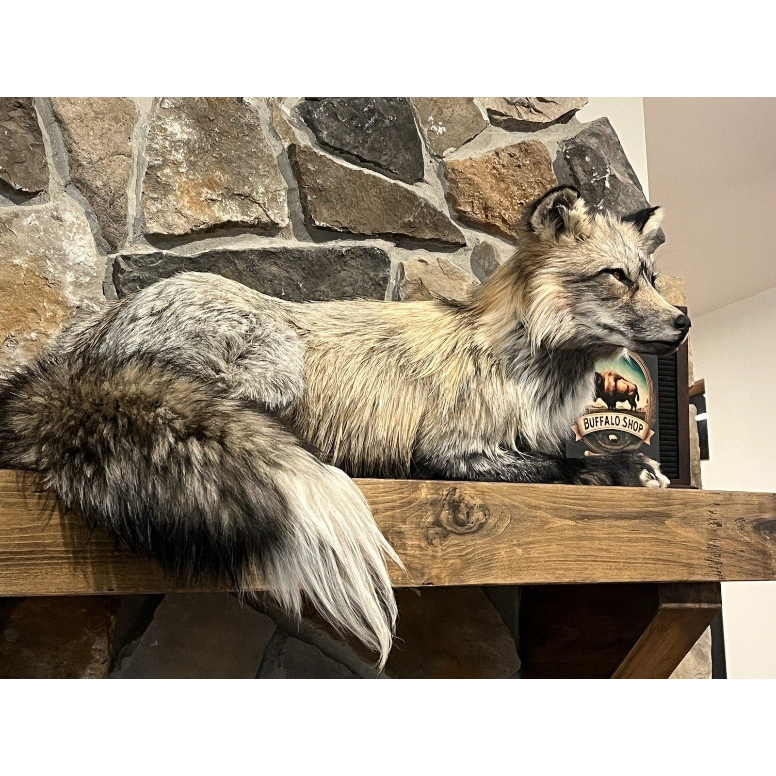 FHWL115- Premium Fox Taxidermy Full Body Mount