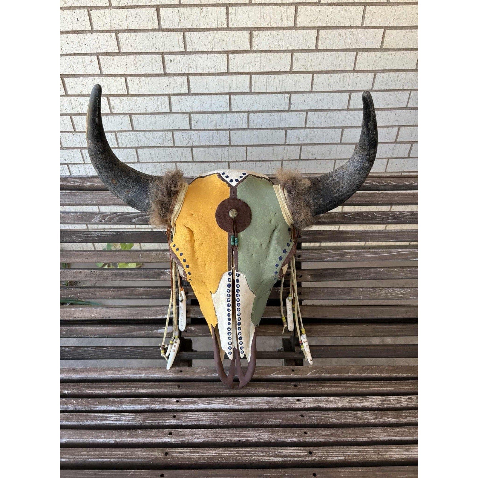 FHMM73 - Large Buffalo / Bison Skull Taxidermy Mount