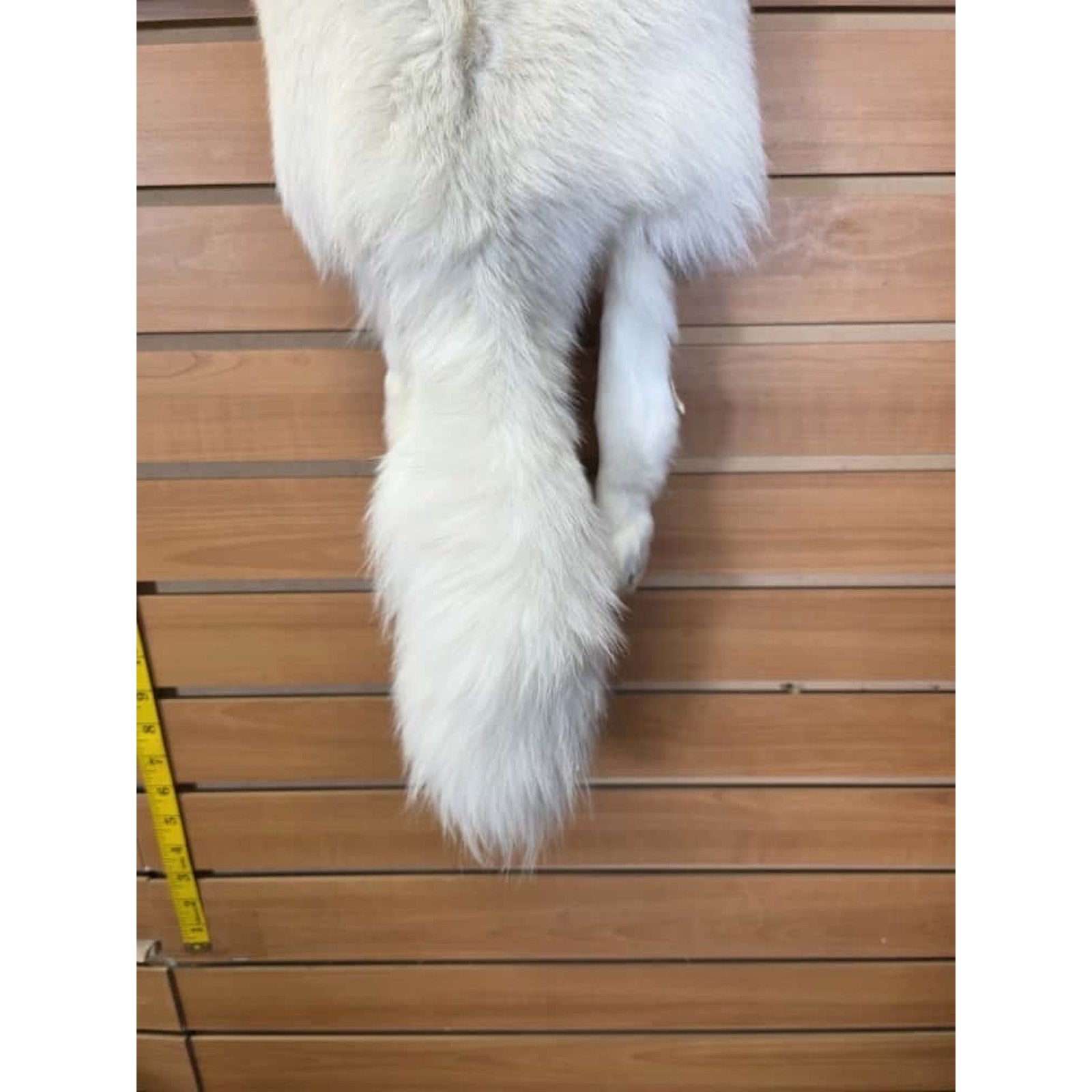 FHCM17 - Gorgeous White Ranch Fox Soft Tanned Fur