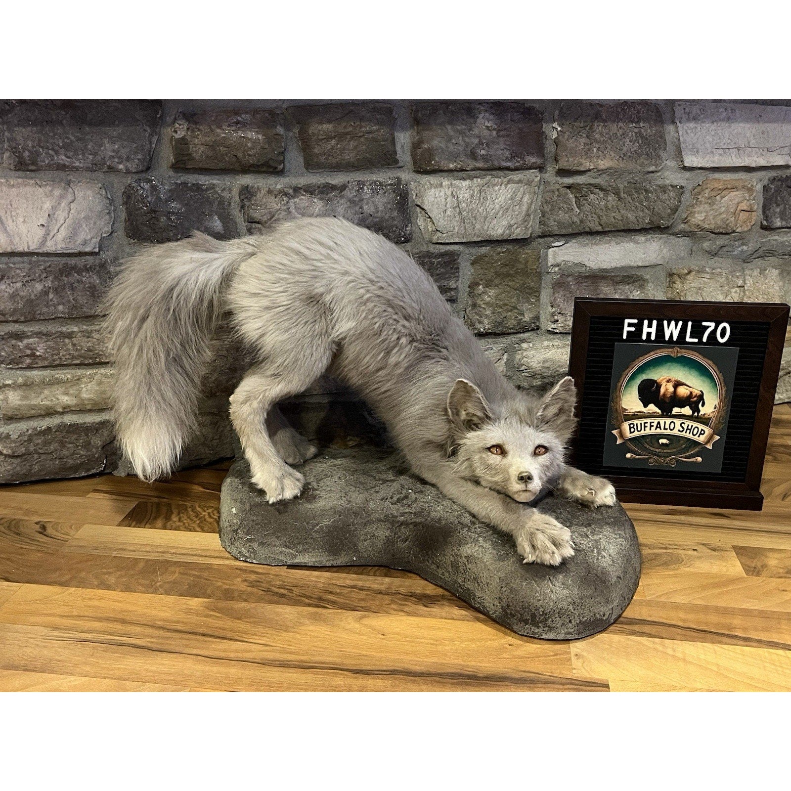 FHWL70 - Ranch Fox Pup Taxidermy Full Body Mount