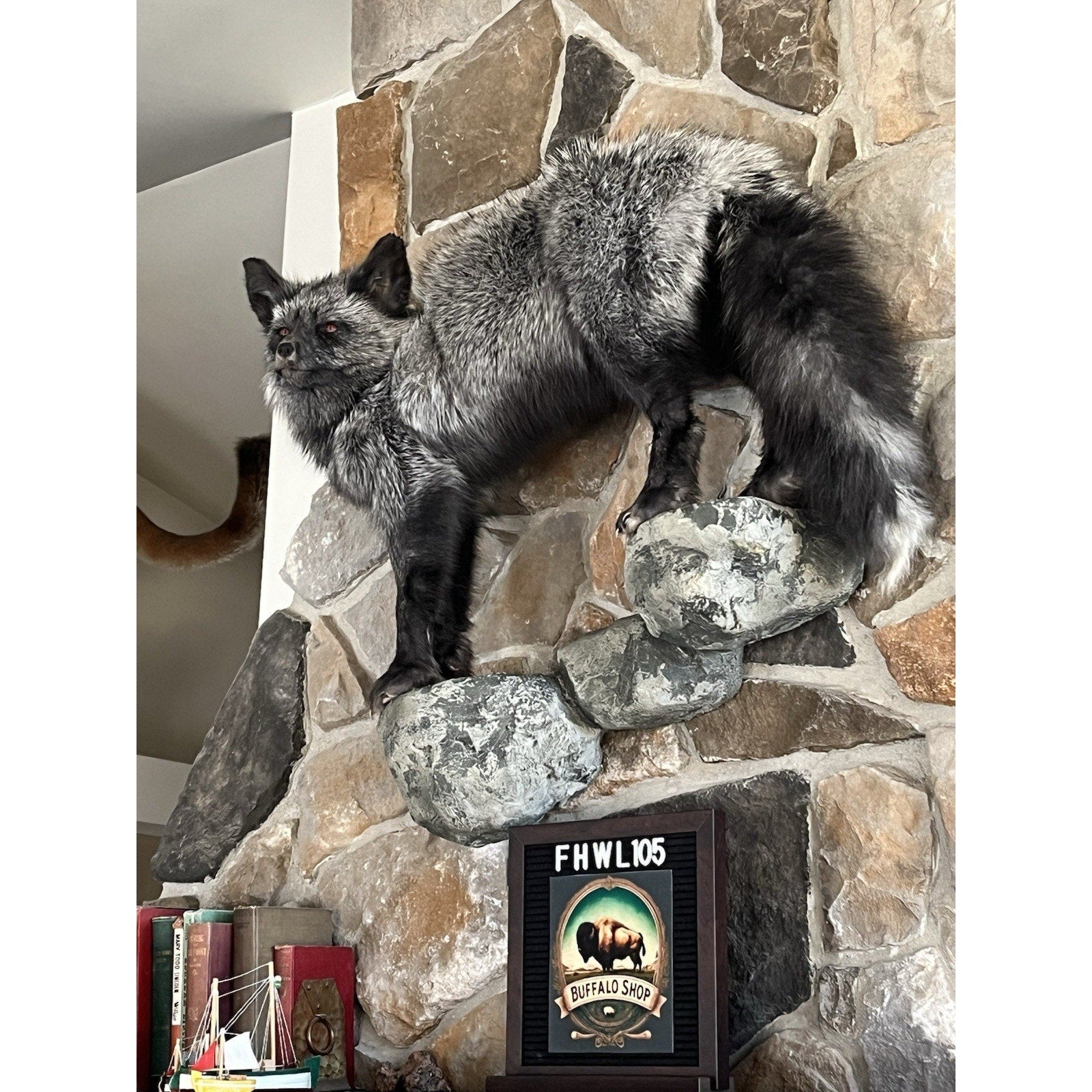 FHWL105 - Premium Silver Fox Taxidermy Full Body Mount