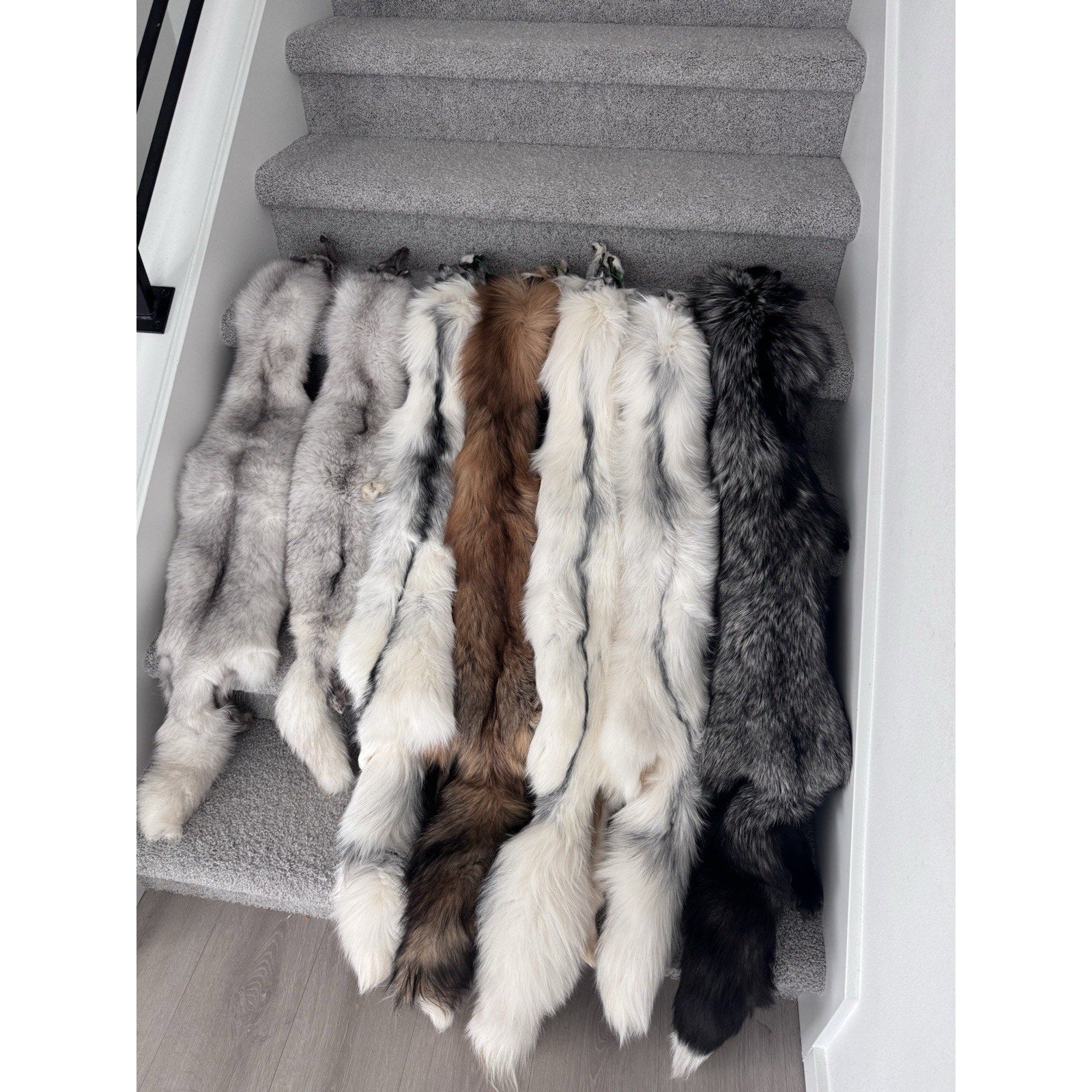 FHJAY793 - Mountable Premium Fox Full Body Hide For Taxidermy
