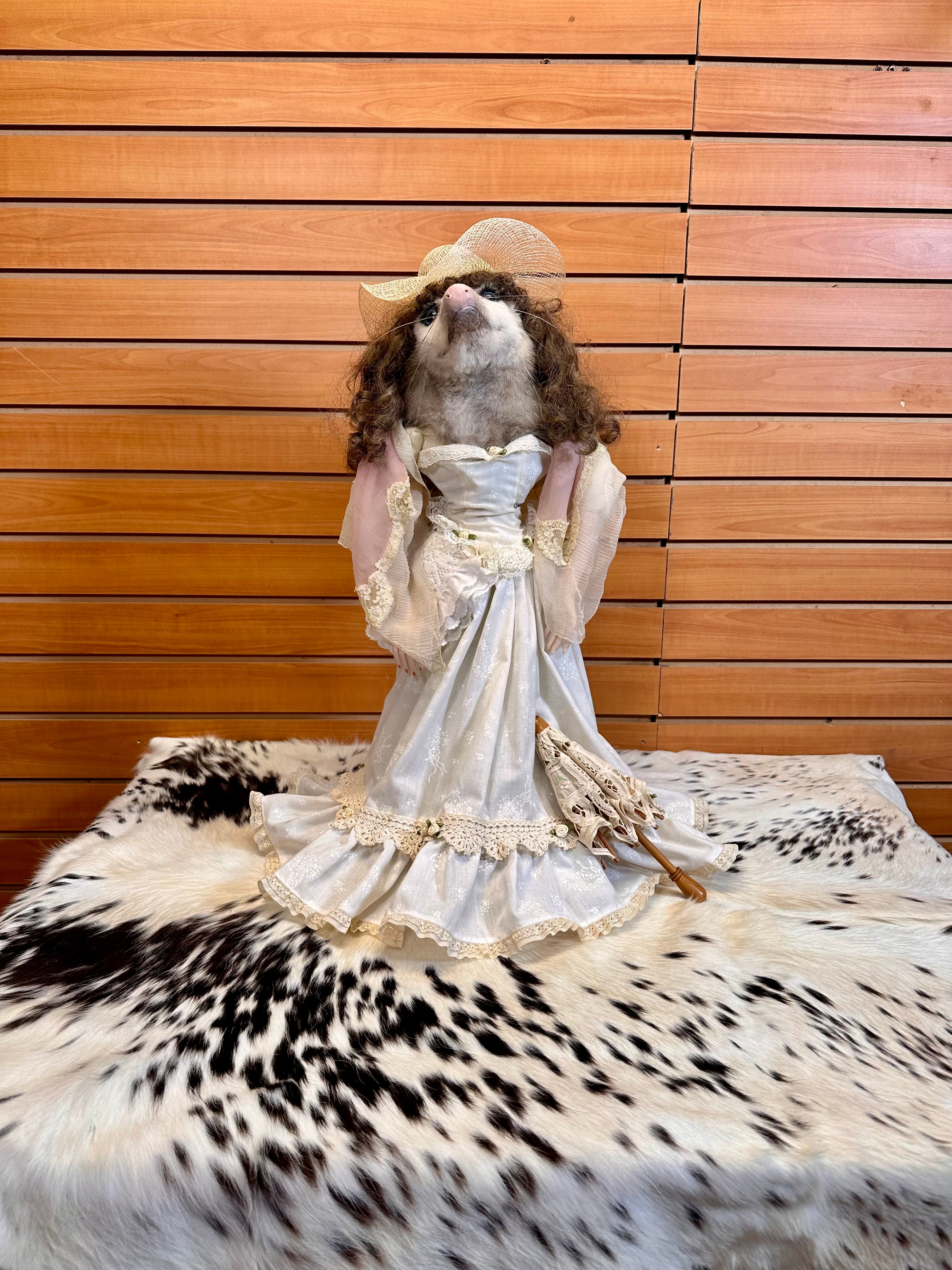 FH104 O'Possum Lifesize Mount  Taxidermy Log Cabin