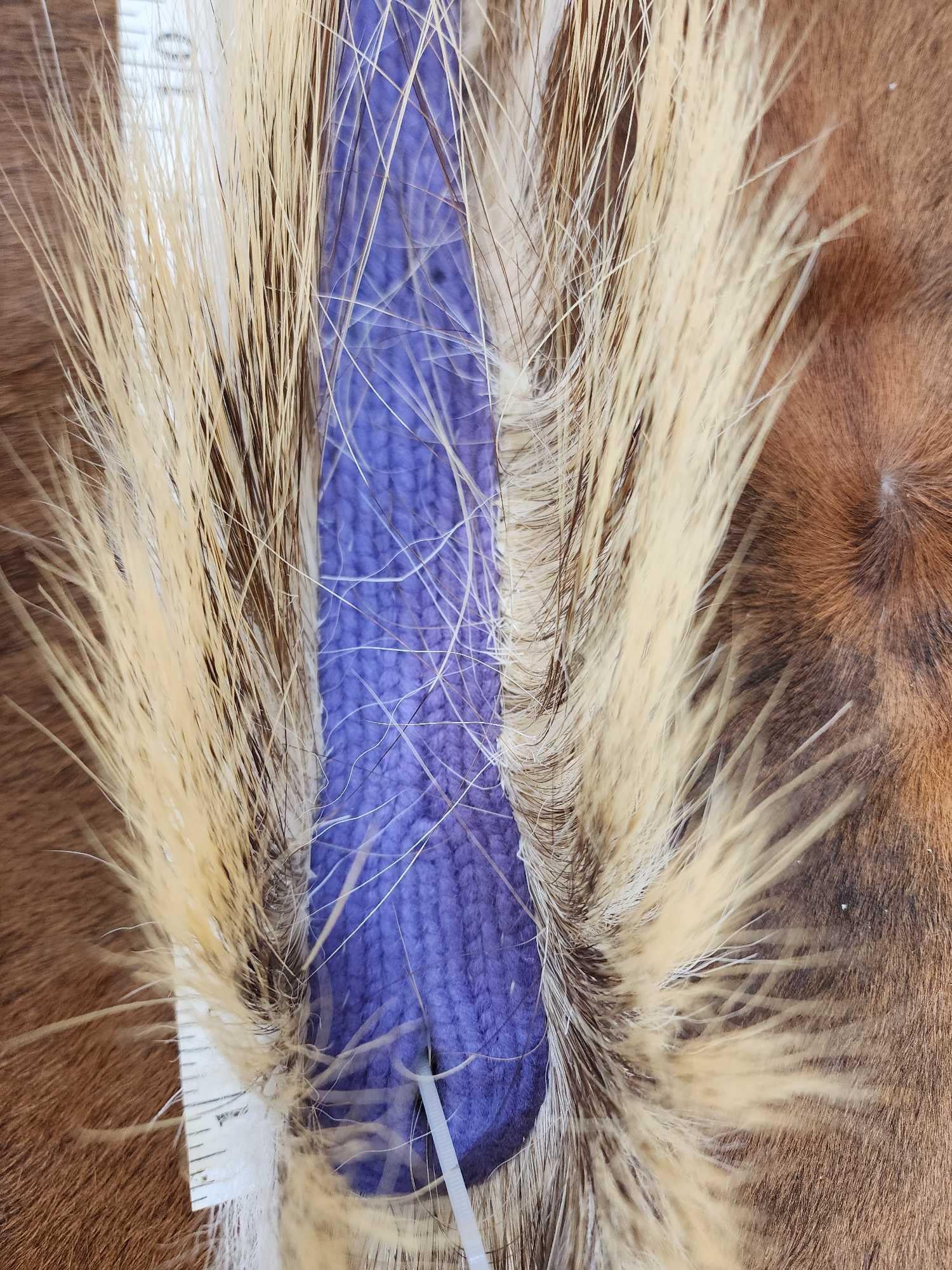 Fhmc103 - Native American Made Porcupine hair Roach