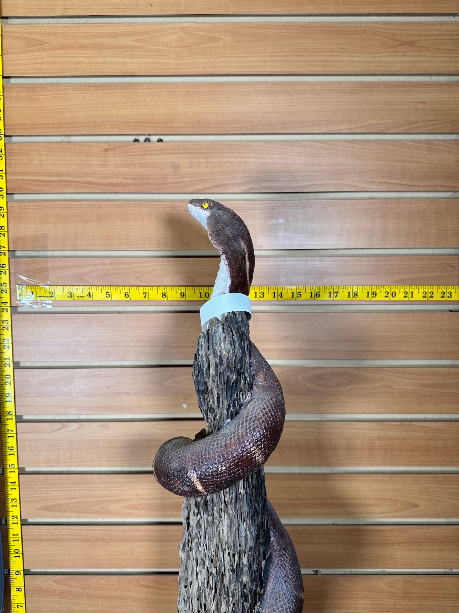 JTV479-Replica cobra snake taxidermy mount