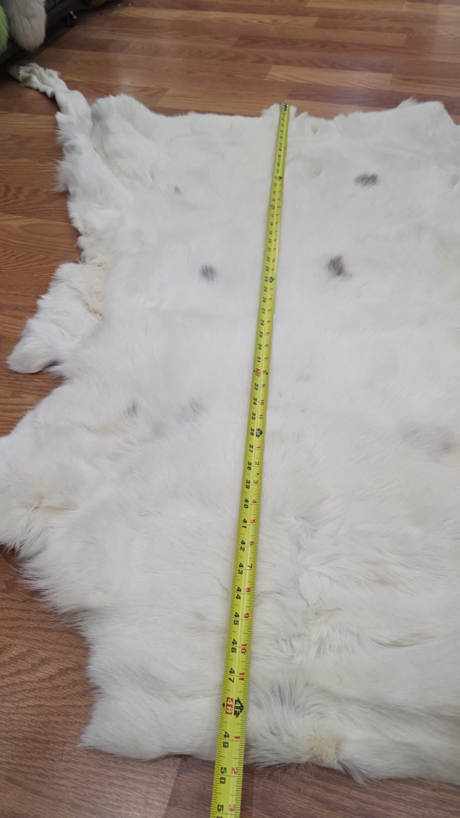 FHSD43 - caribou white beautiful hide 50”x30”