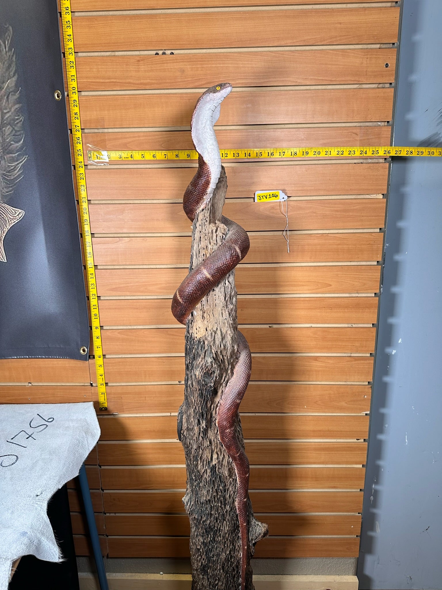 JTV479-Replica cobra snake taxidermy mount