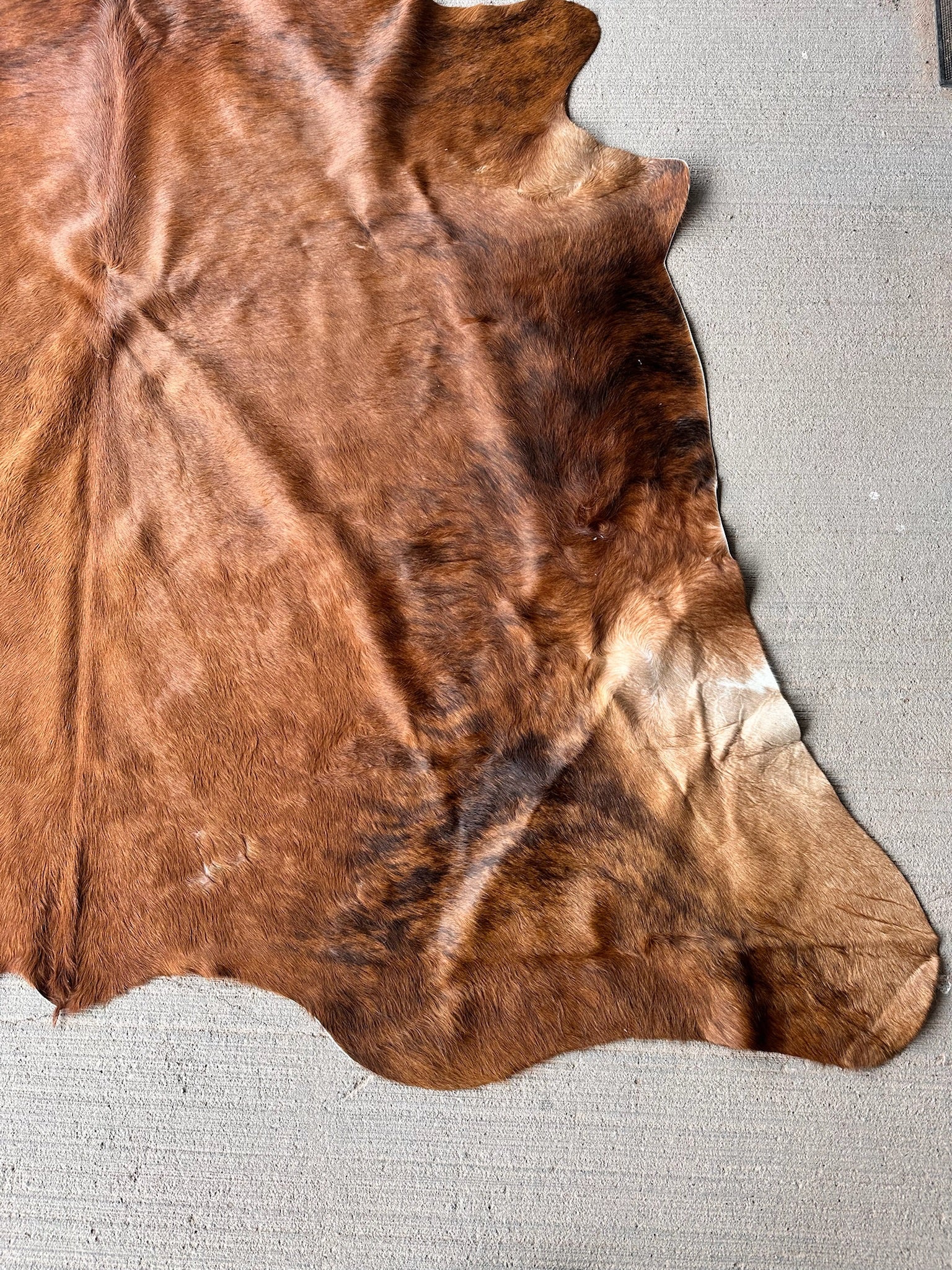 FHCOW29 - Premium Cow Hide Rugs Home Decor