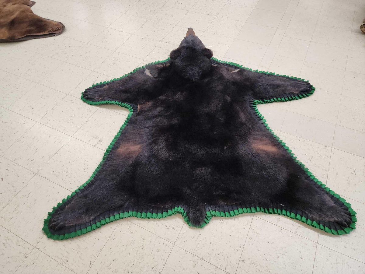 FH24k - Nice Black Bear Rug Taxidermy