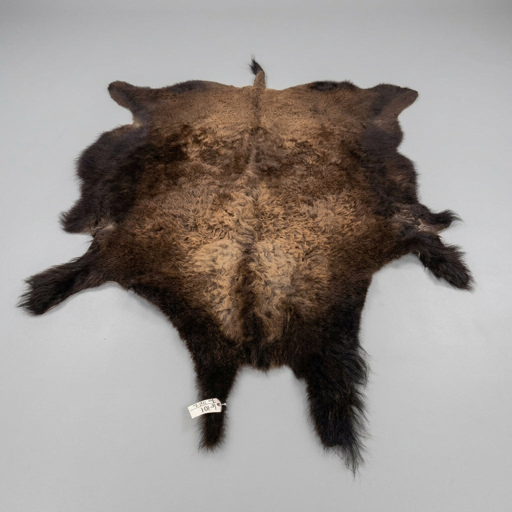 FH24l - American Bison Buffalo Soft Tanned Robe Taxidermy