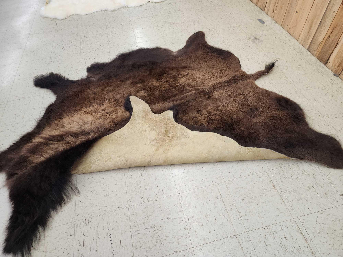 FH24l - American Bison Buffalo Soft Tanned Robe Taxidermy