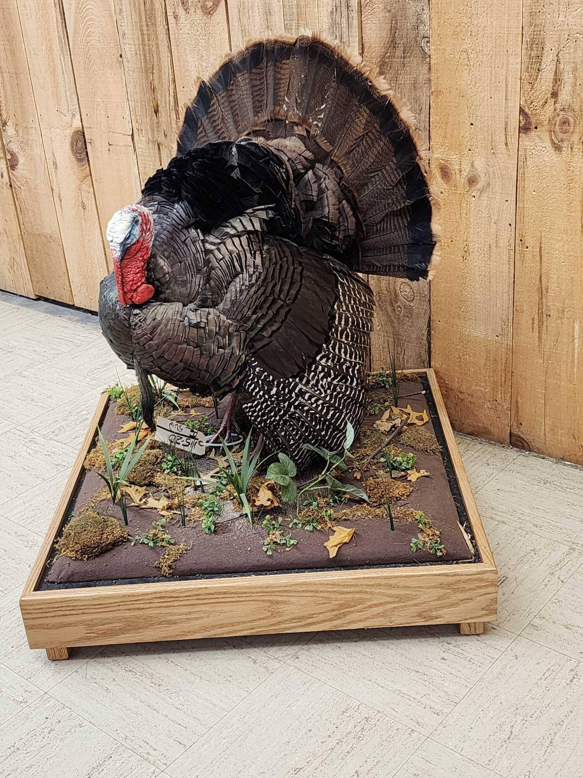 FH52w - 1rst In A Series Of 4 Grand Slam Turkeys Bird Taxidermy