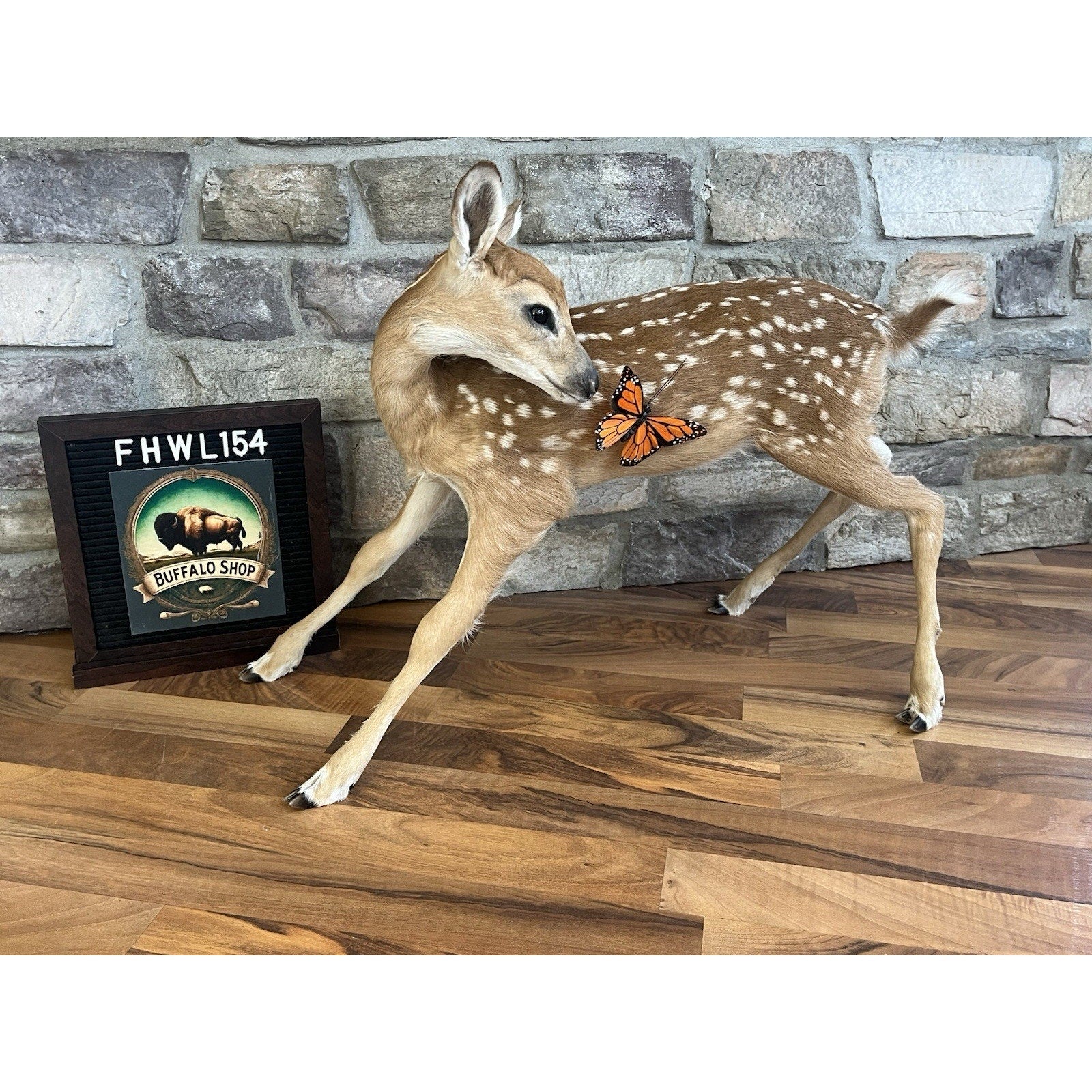 FHWL154 - Fawn Lifesize Taxidermy Mount Free Standing