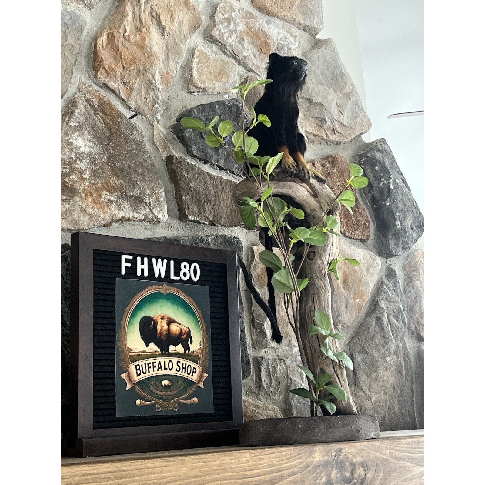 FHWL80 - red-handed tamarin Monkey (Saguinus midas) Taxidermy Mount