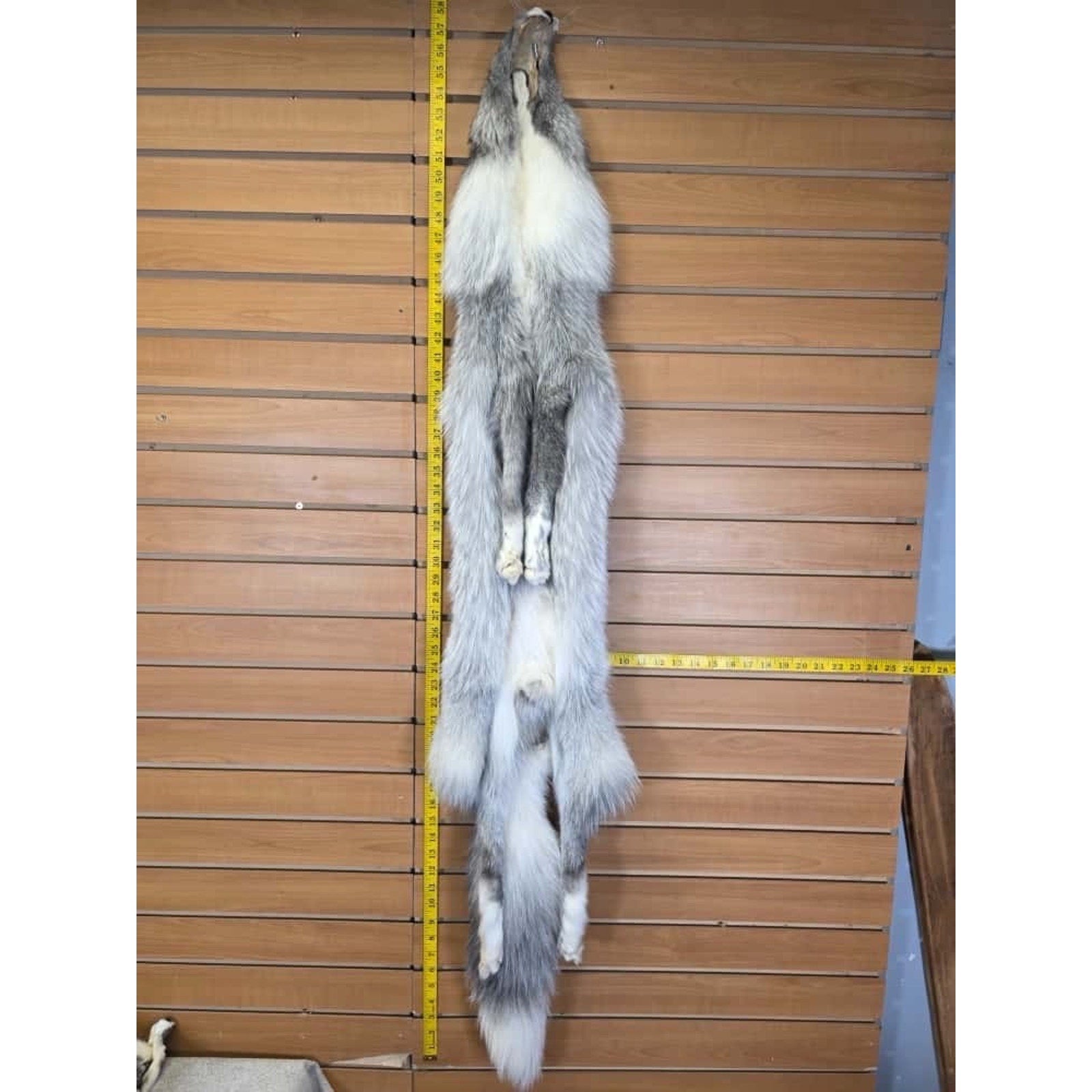 FHCM8 - Gorgeous Ranch Fox Soft Tanned Furs Taxidermy