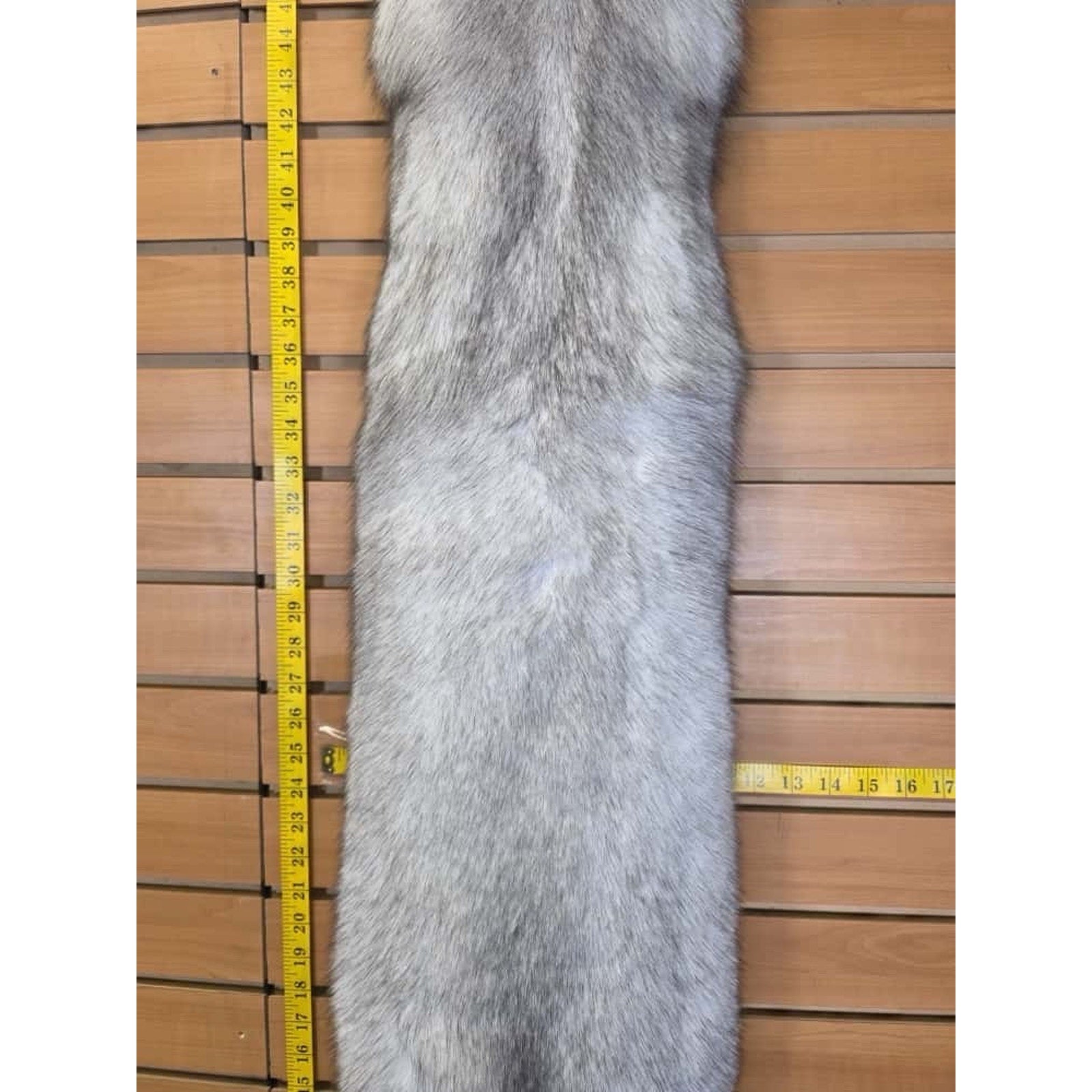 FHCM11 - Soft Tanned Blue Ranch Fox Furs Taxidermy