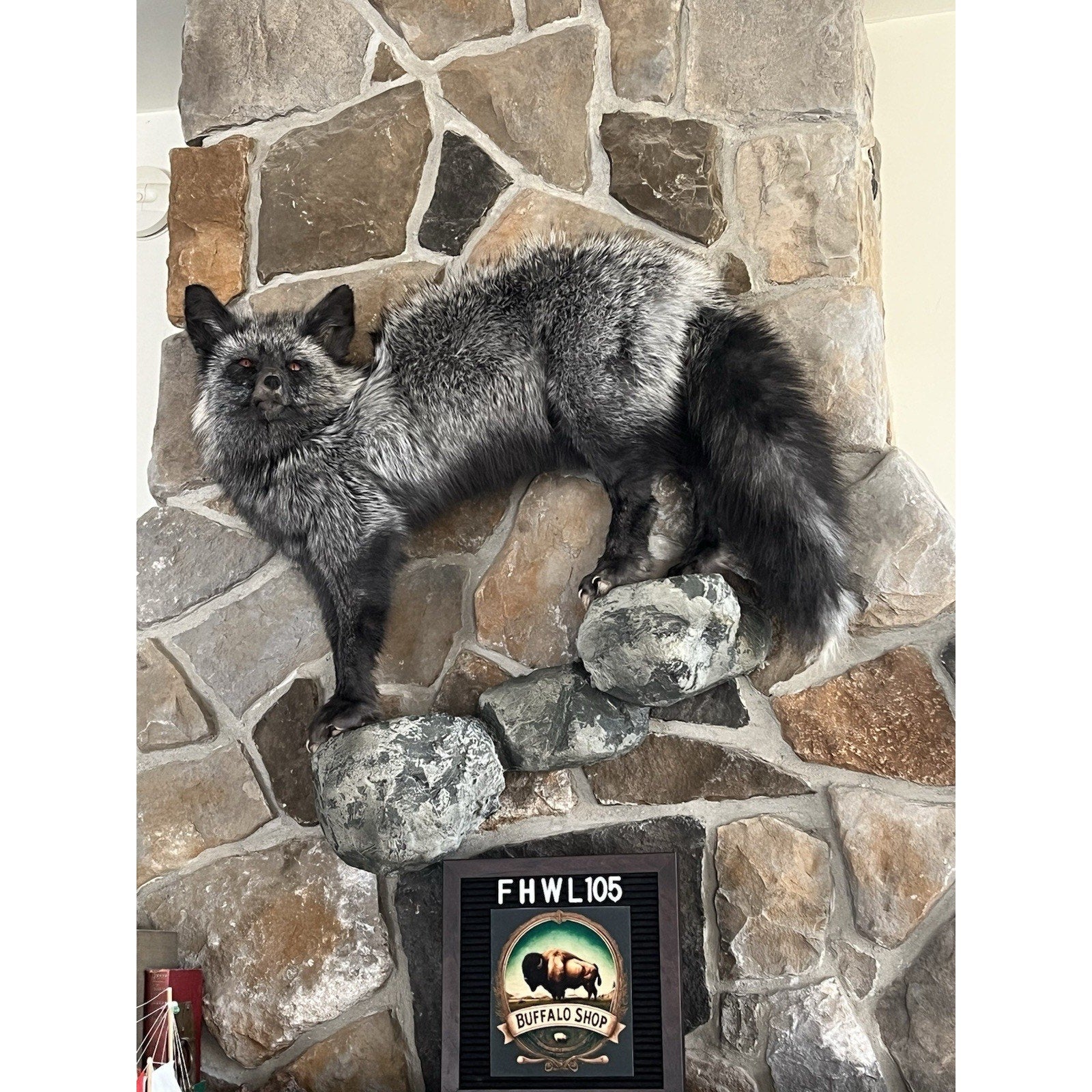 FHWL105 - Premium Silver Fox Taxidermy Full Body Mount