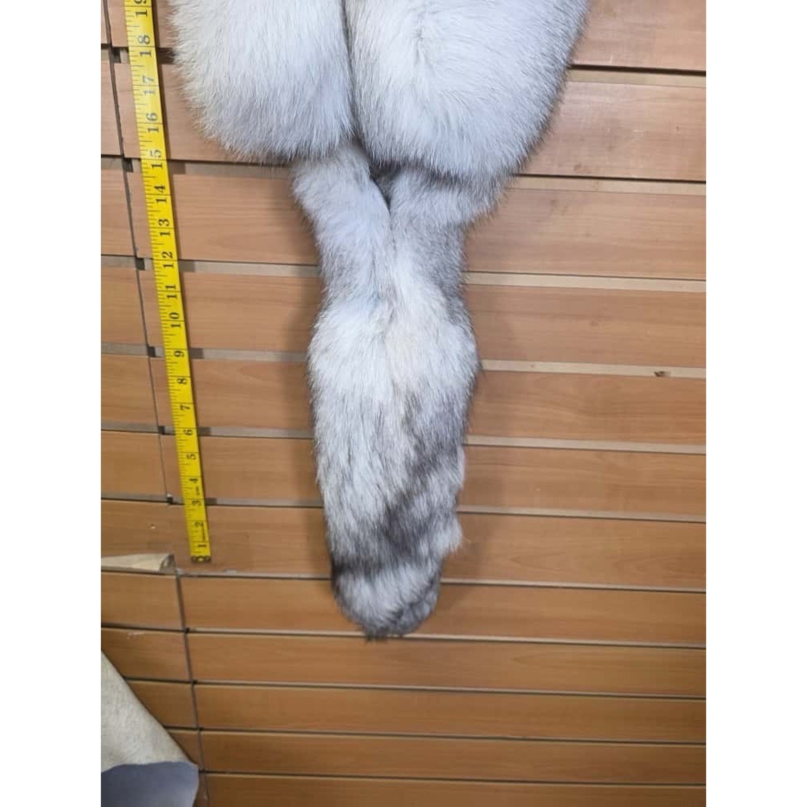 FHCM11 - Soft Tanned Blue Ranch Fox Furs Taxidermy