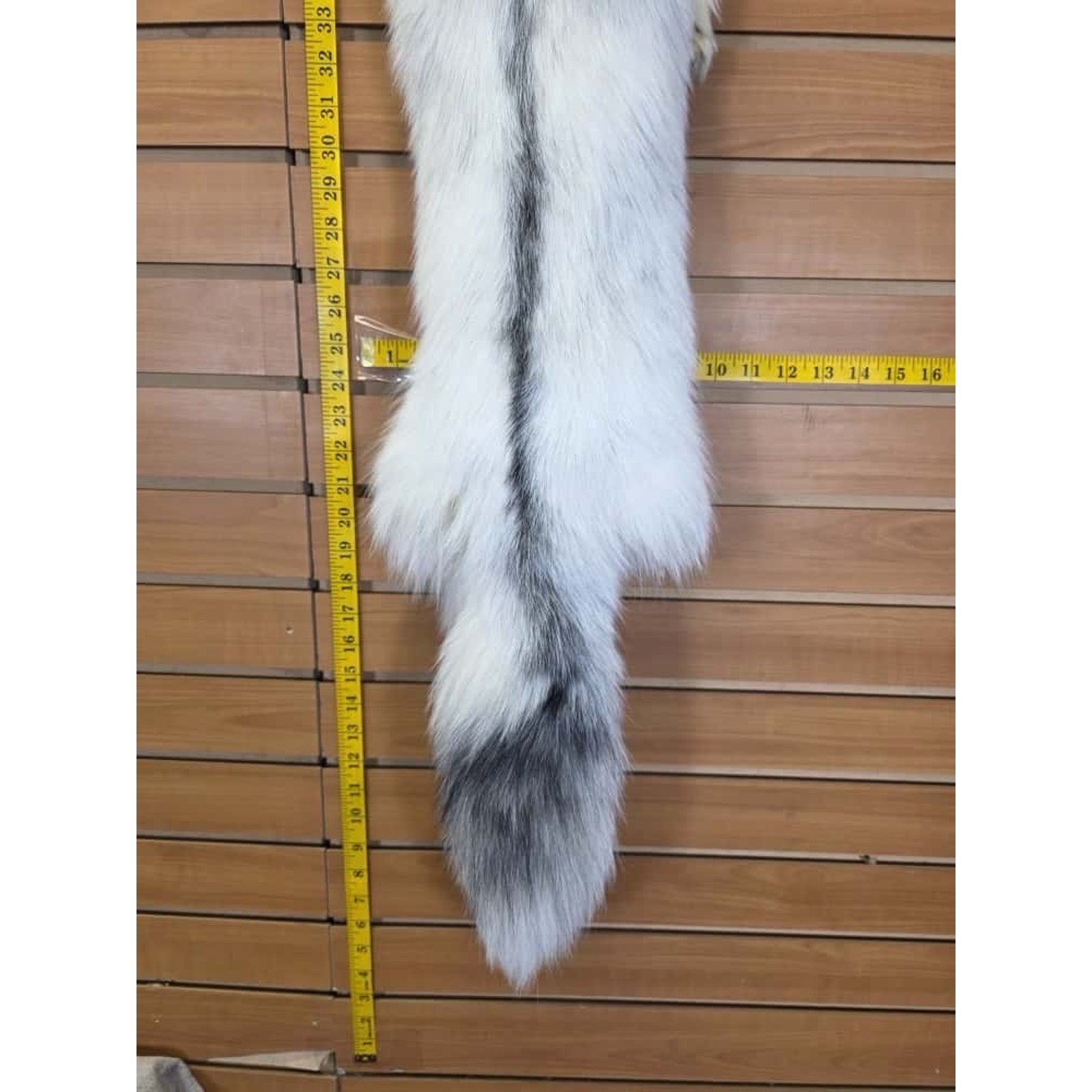 FHCM9 - Gorgeous Ranch Fox Soft Tanned Furs Taxidermy