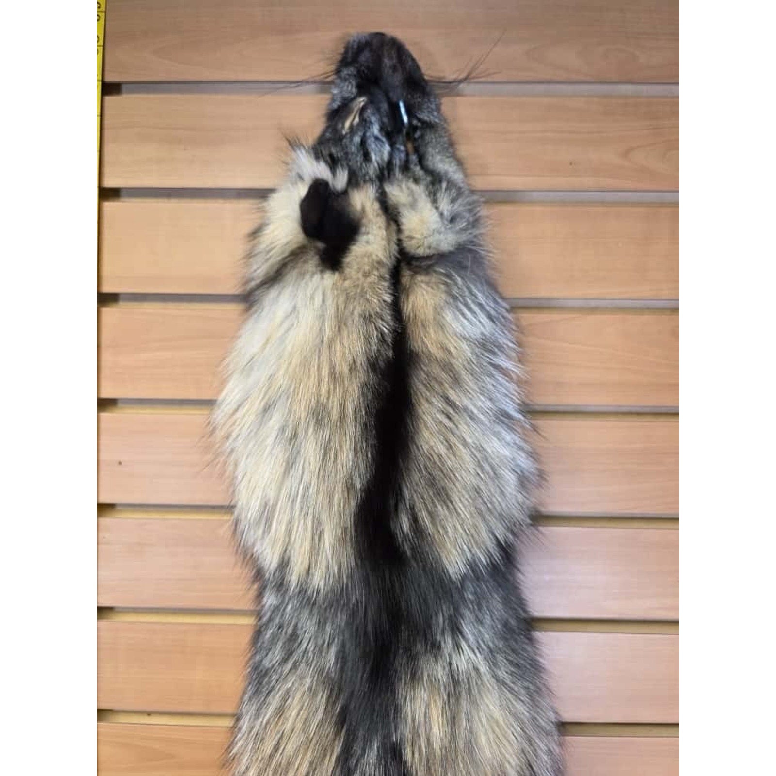 FHCM15 - Gorgeous Ranch Fox Soft Tanned Furs Taxidermy