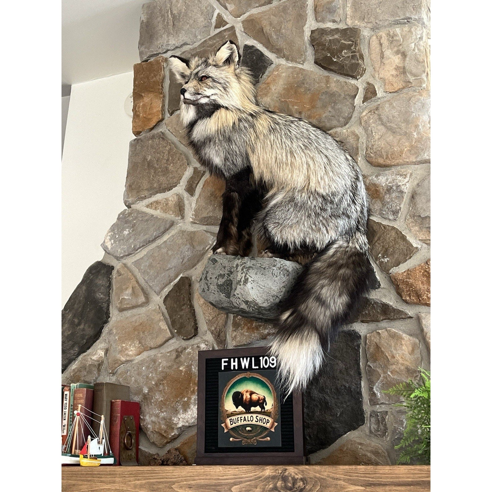 FHWL109 - Premium Fox Taxidermy Full Body Mount