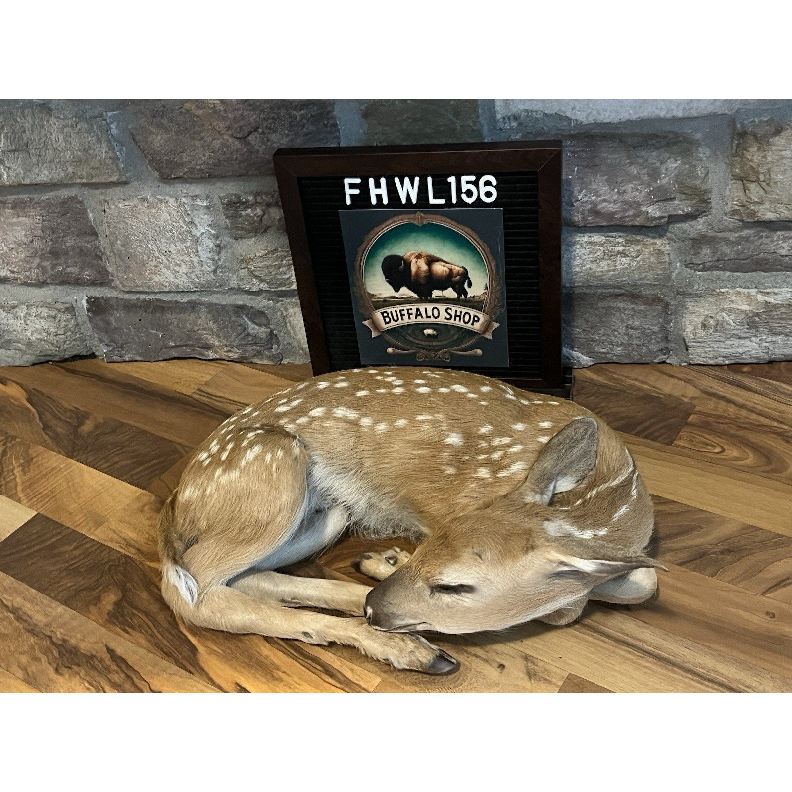 FHWL156 - Fawn Lifesize Taxidermy Mount Free Standing