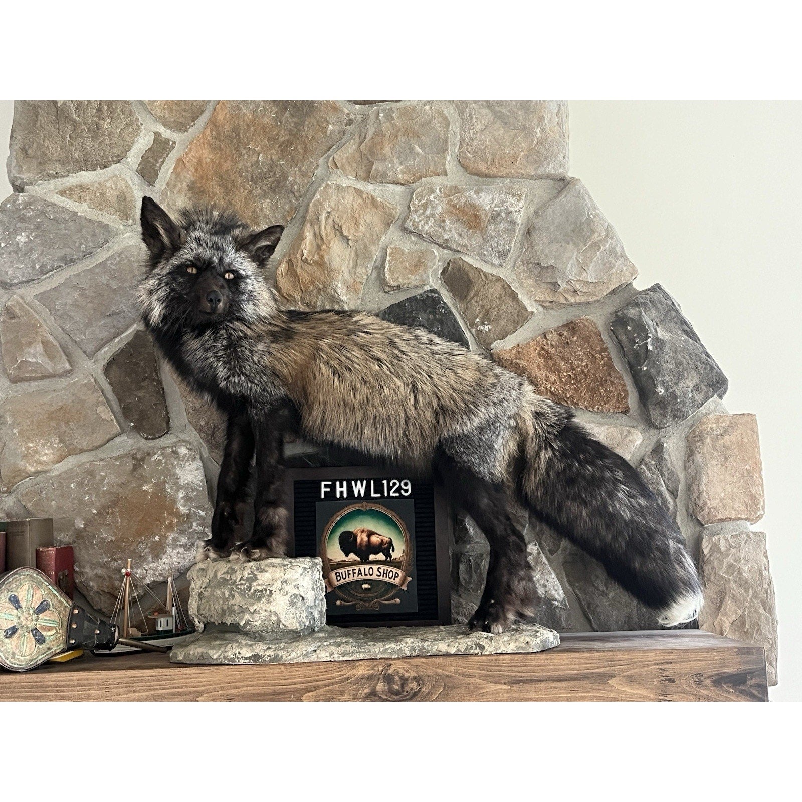 FHWL129 - Premium Silver Fox Taxidermy Full Body Mount