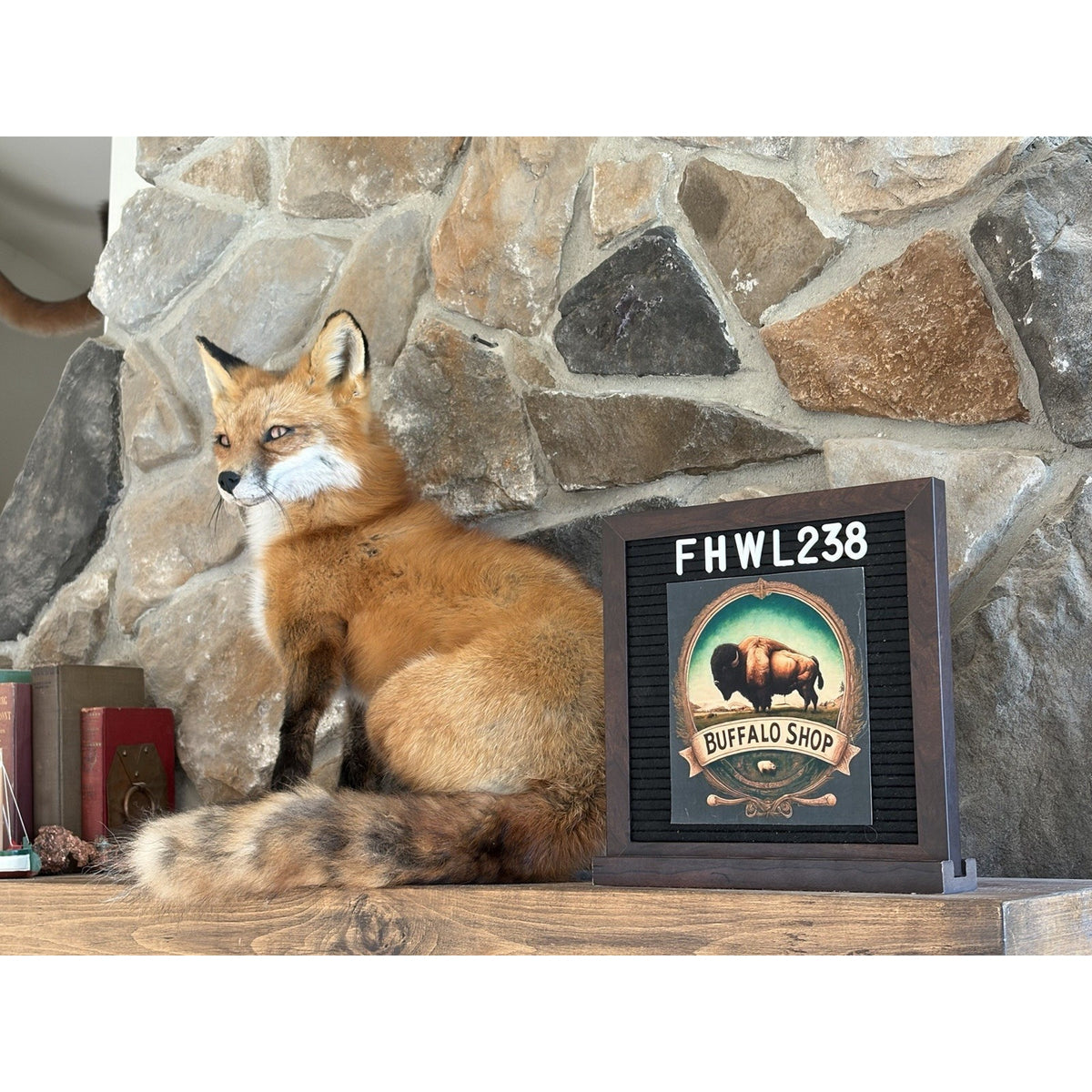 FHWL238 - Red Fox Taxidermy Stripper Dancing Full Body Mount