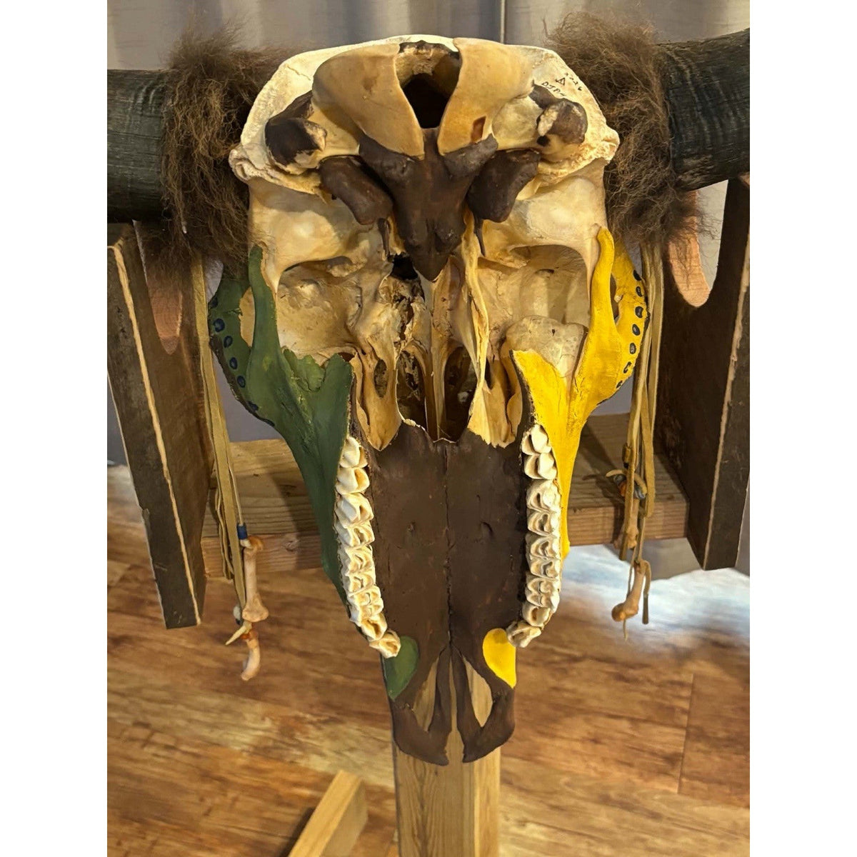 FHMMB1 - XXL Painted Buffalo / Bison Skull Taxidermy Mount