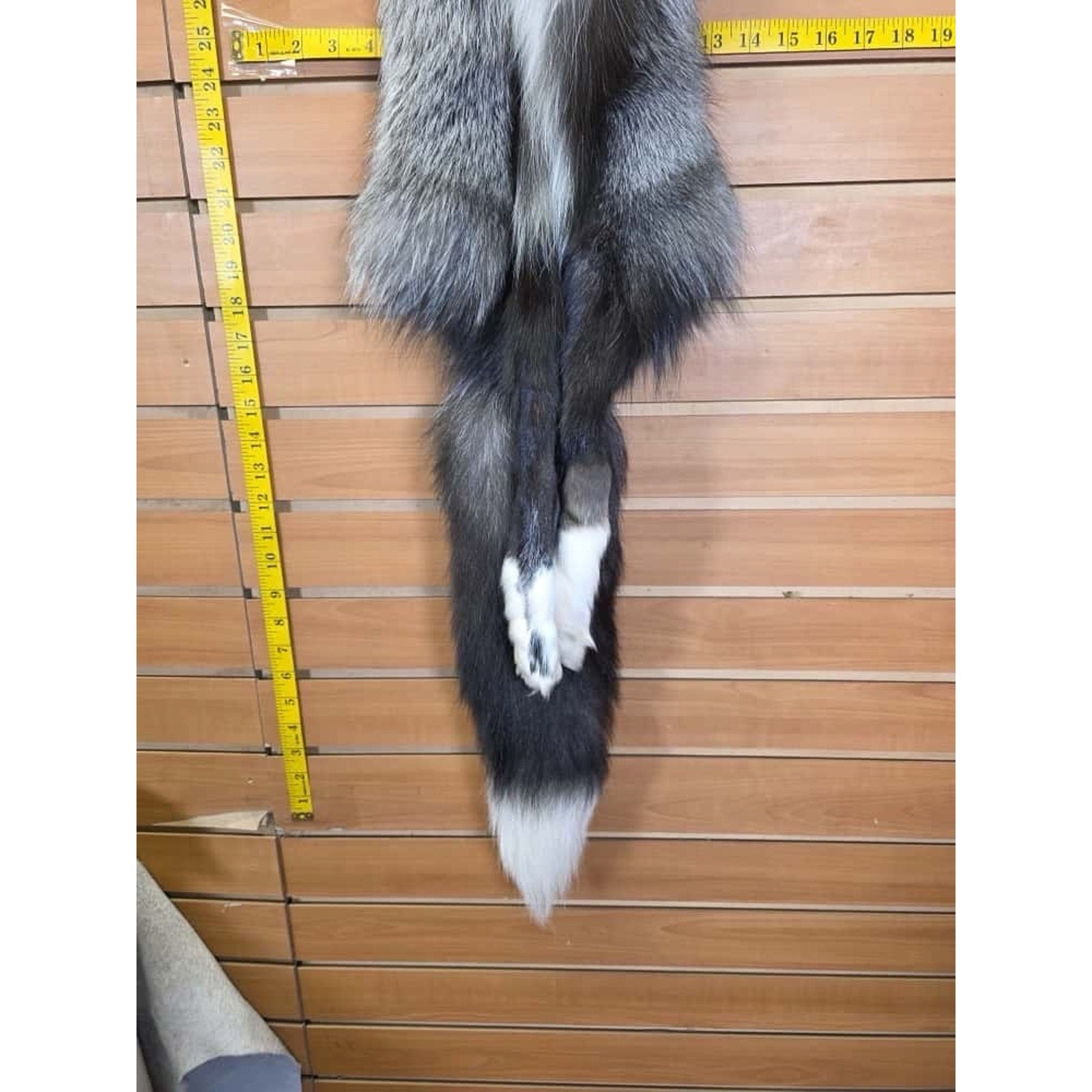 FHCM14 - Gorgeous Ranch Fox Soft Tanned Furs Taxidermy