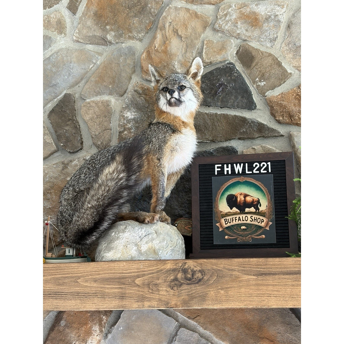 FHWL221 - Grey Fox Taxidermy Full Body Mount Cabin Camp Man Cave