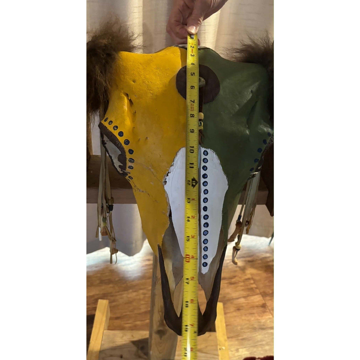 FHMMB1 - XXL Painted Buffalo / Bison Skull Taxidermy Mount