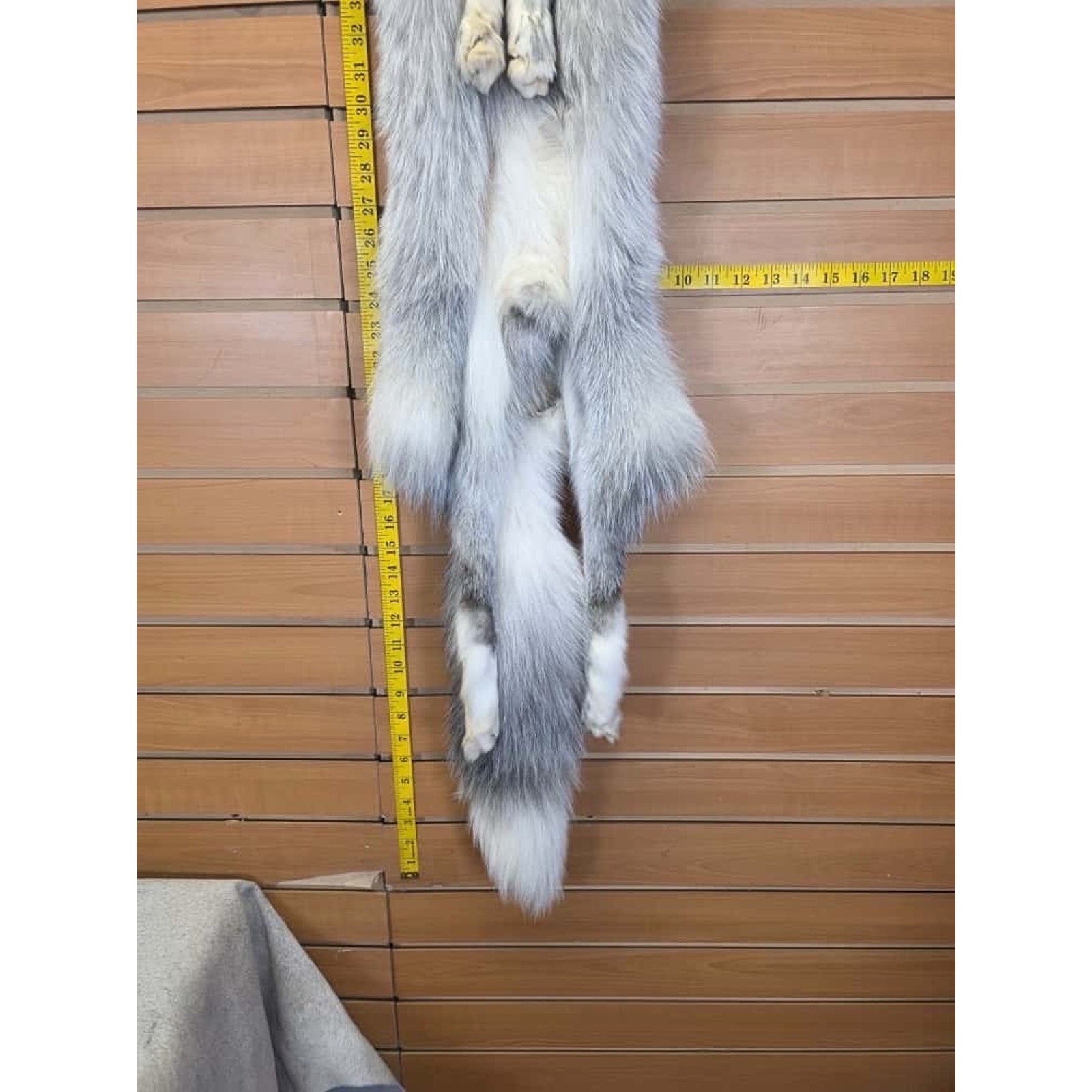 FHCM8 - Gorgeous Ranch Fox Soft Tanned Furs Taxidermy