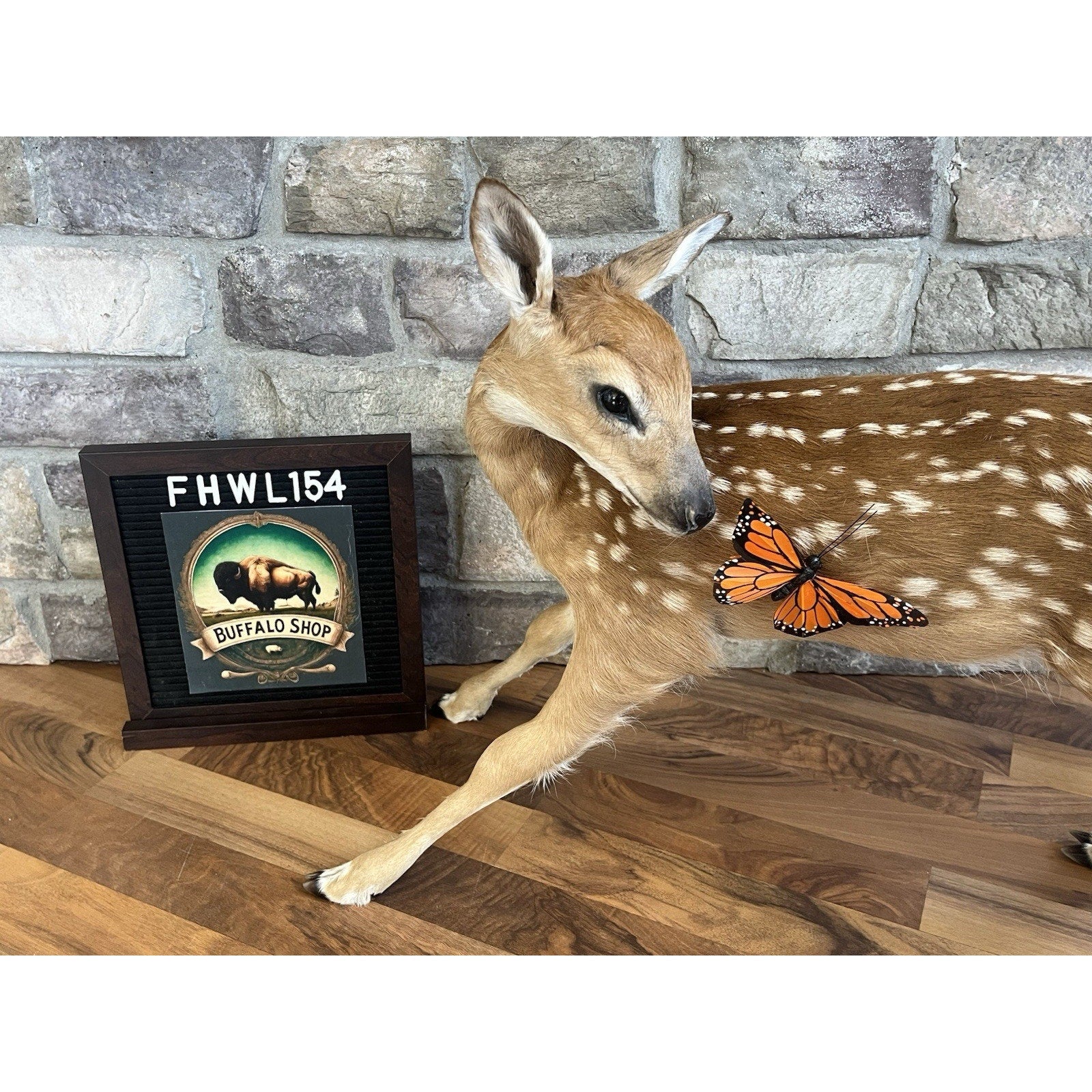 FHWL154 - Fawn Lifesize Taxidermy Mount Free Standing