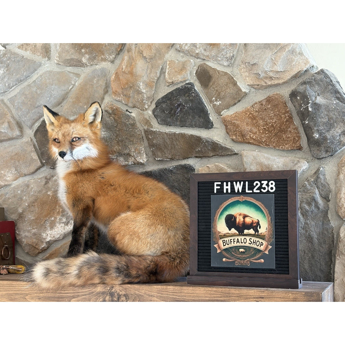 FHWL238 - Red Fox Taxidermy Stripper Dancing Full Body Mount