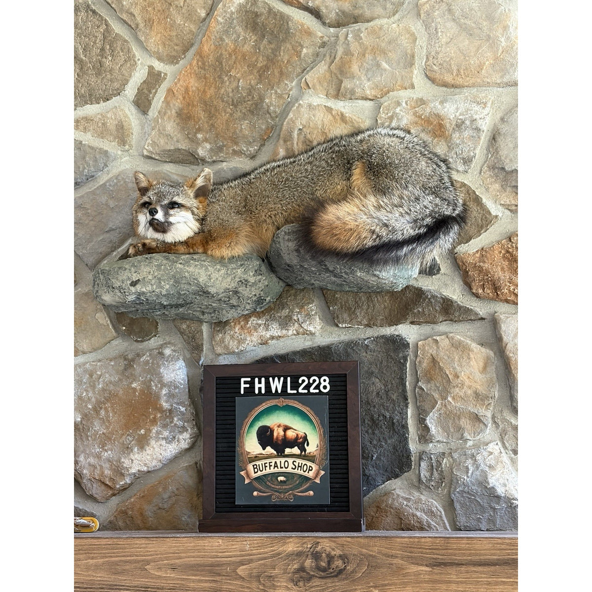 FHWL228 - Grey Fox Taxidermy Full Body Mount Cabin Camp Man Cave