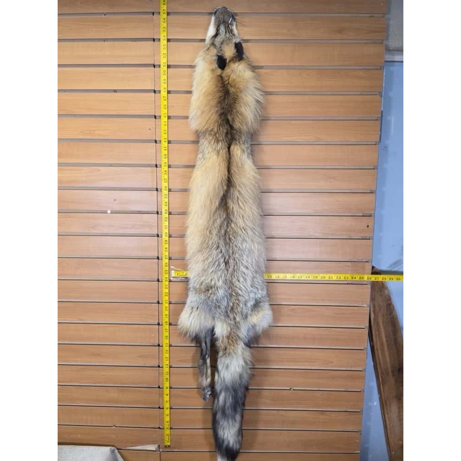 FHCM19 - Gorgeous Ranch Fox Soft Tanned Fur