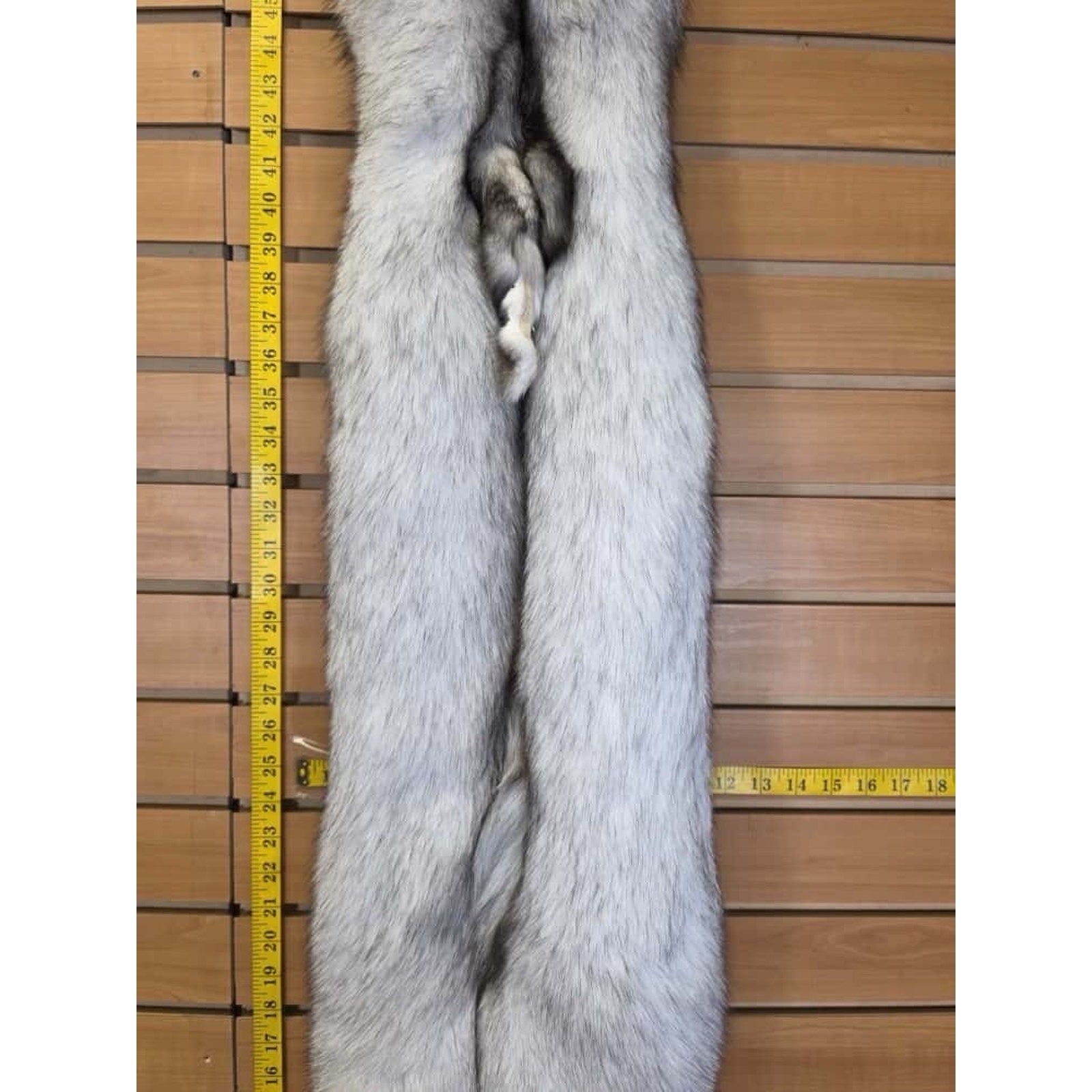 FHCM11 - Soft Tanned Blue Ranch Fox Furs Taxidermy