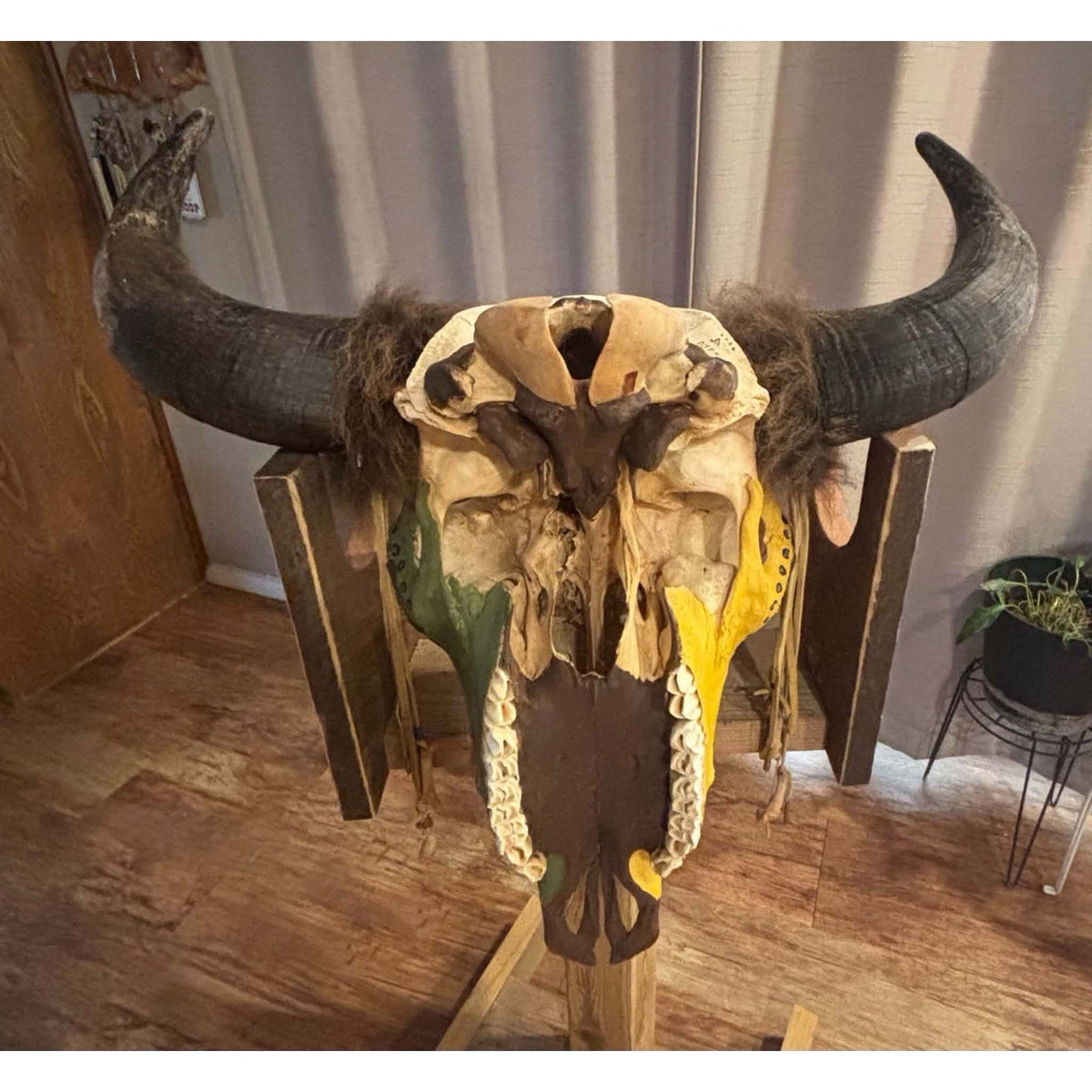 FHMMB1 - XXL Painted Buffalo / Bison Skull Taxidermy Mount